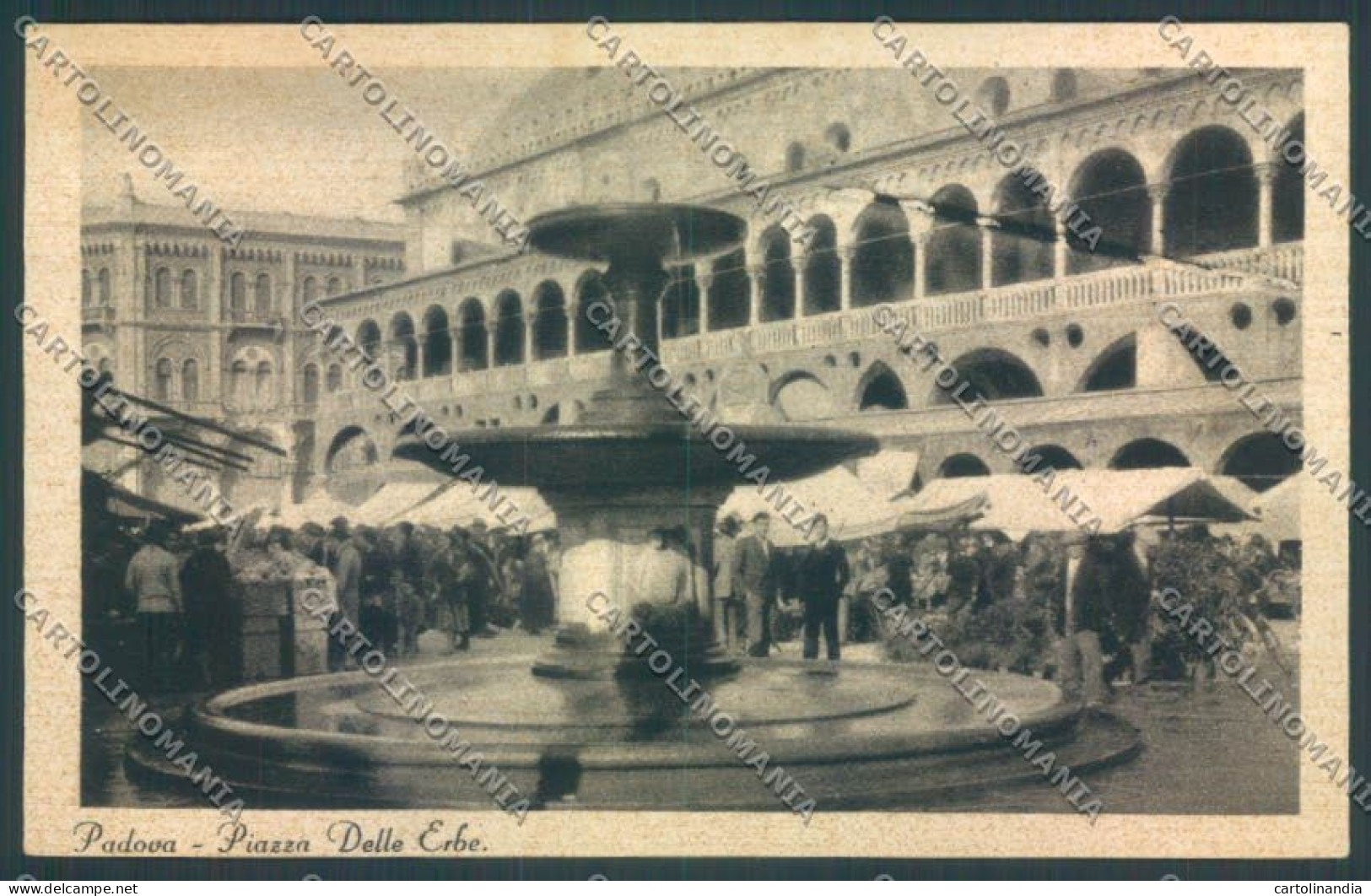 Padova Città Mercato Cartolina ZQ2187 - Padova (Padua)