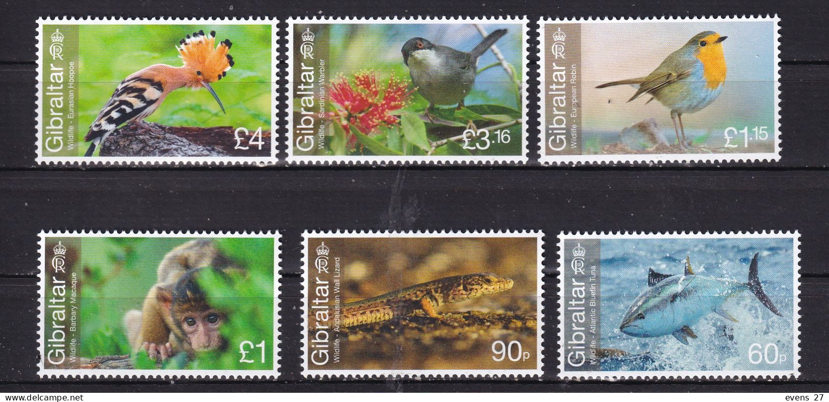 GIBRALTAR-2023- BIRDS-MONKEY-FISH-MNH - - Gibraltar