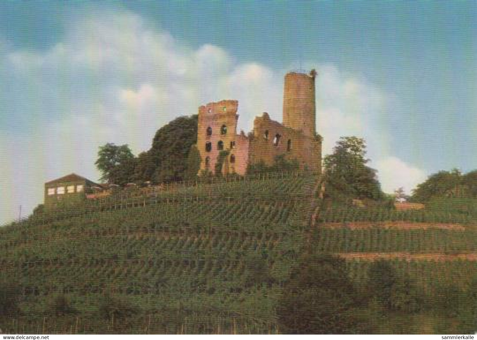 20803 - Schriesheim - Strahlenburg - Ca. 1975 - Heidelberg