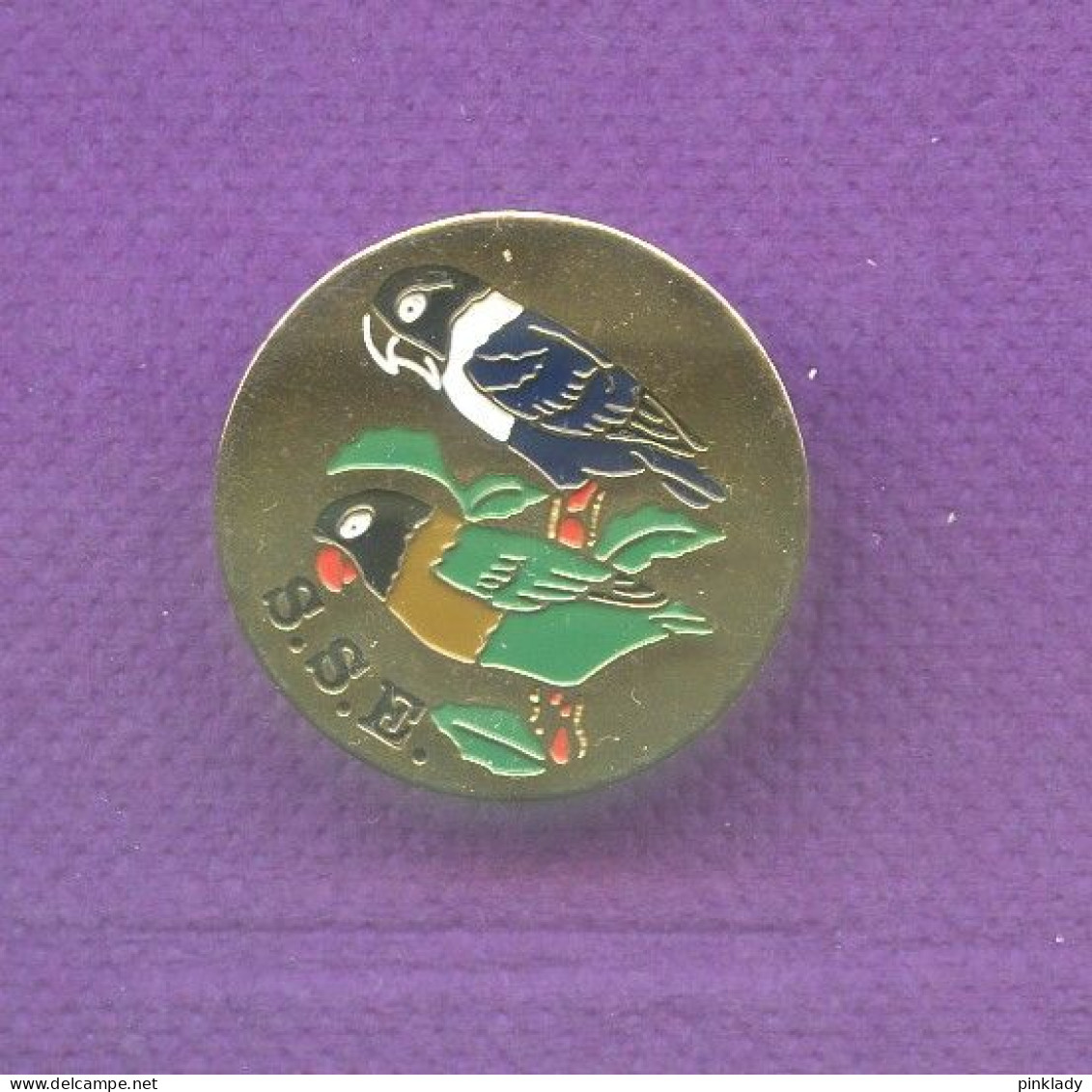 Rare Pins Oiseau Perroquet Ou Perruche Q977 - Tiere