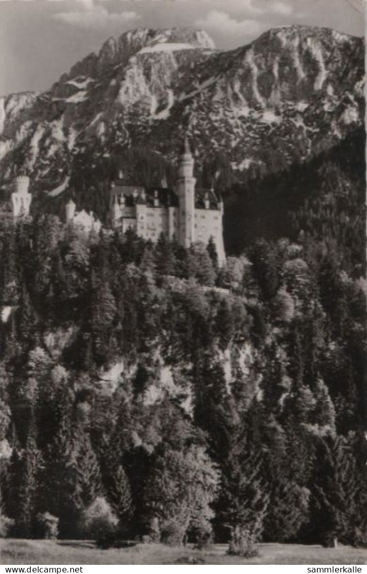 71417 - Schwangau Neuschwanstein - Mit Säuling - 1961 - Füssen