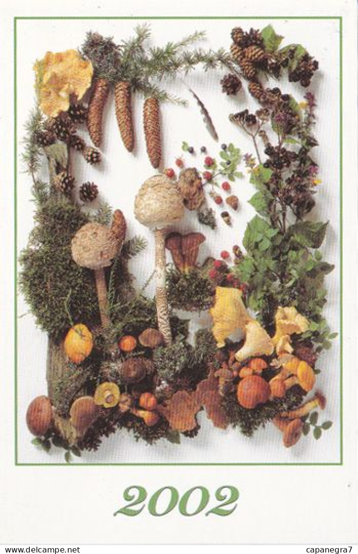 Macrolepiota, Cantharellus, Mushroom, Publishing House LEON, Czech Rep. 2002 - Formato Piccolo : 2001-...