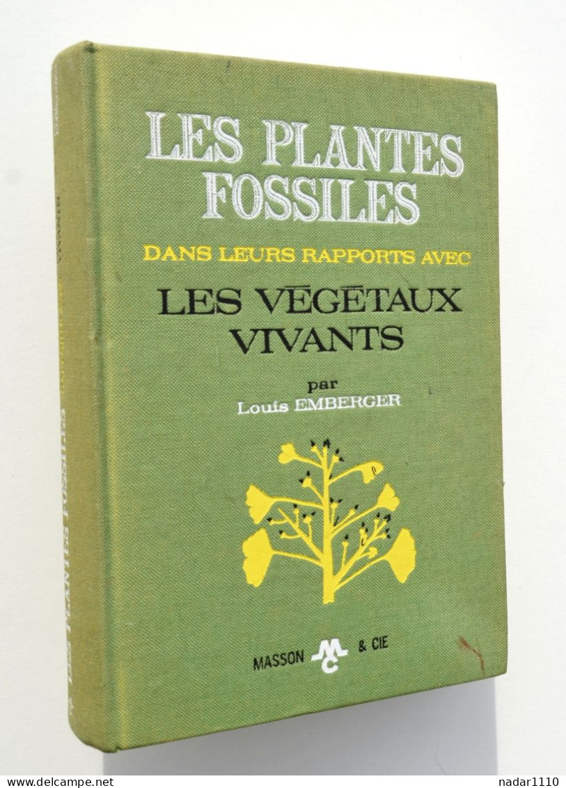 Nature : Les Plantes Fossiles Dans Leurs Rapports Avec Les Végétaux Vivants - Louis Emberger, Masson 1968 - Nature