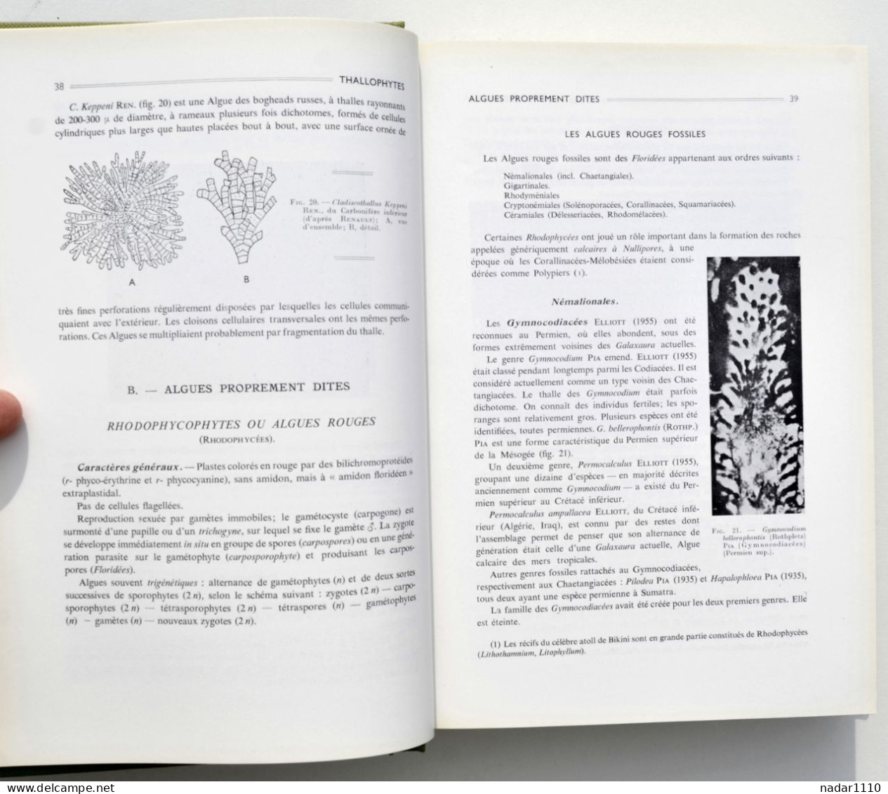 Nature : Les Plantes Fossiles Dans Leurs Rapports Avec Les Végétaux Vivants - Louis Emberger, Masson 1968 - Nature