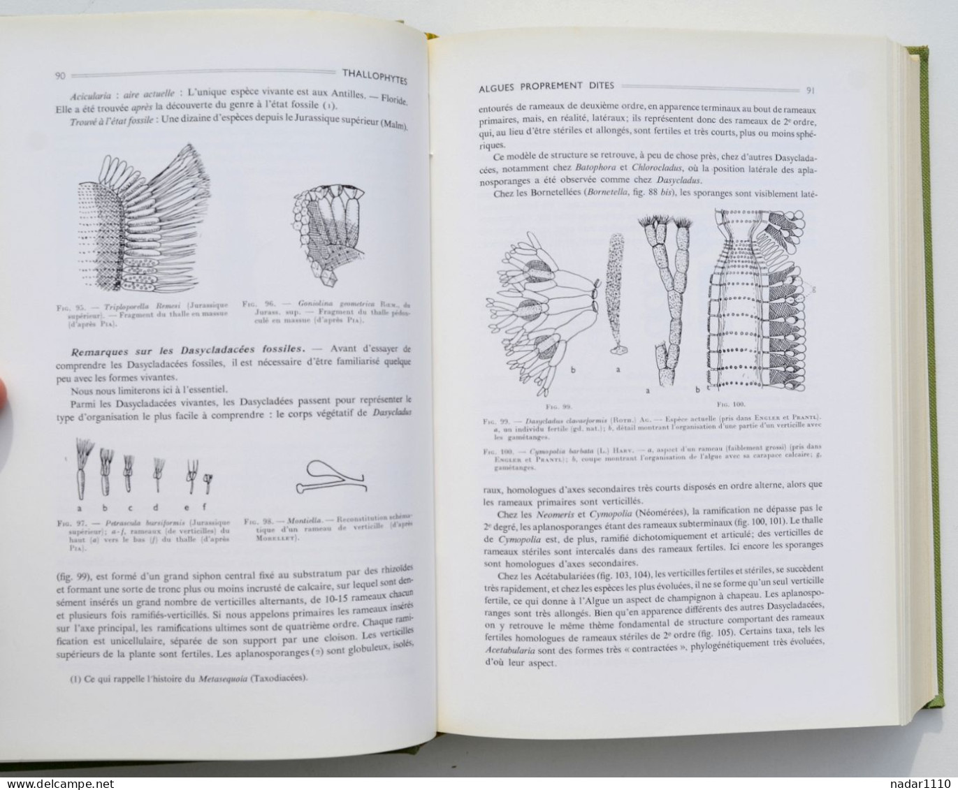 Nature : Les Plantes Fossiles Dans Leurs Rapports Avec Les Végétaux Vivants - Louis Emberger, Masson 1968 - Natur