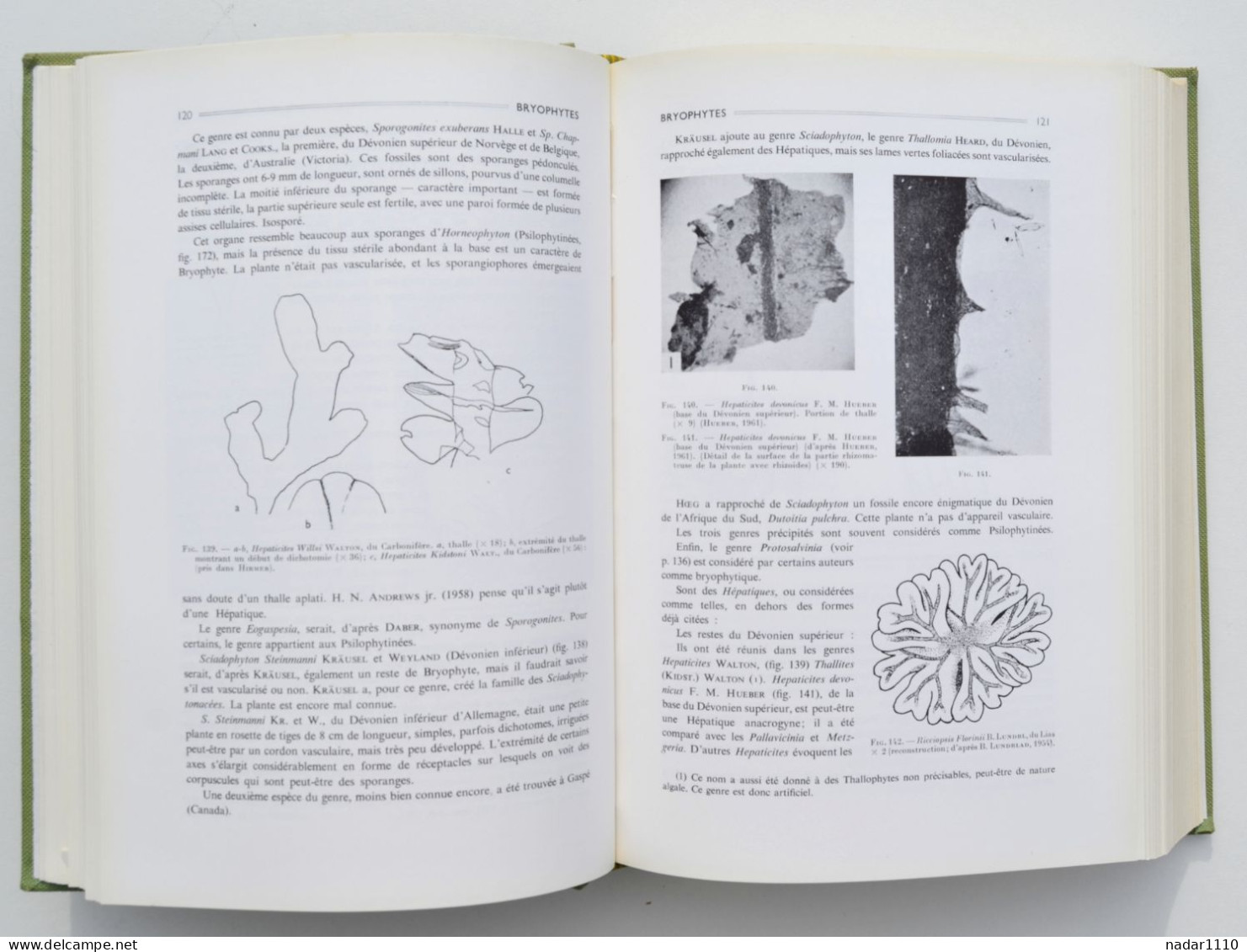 Nature : Les Plantes Fossiles Dans Leurs Rapports Avec Les Végétaux Vivants - Louis Emberger, Masson 1968 - Nature