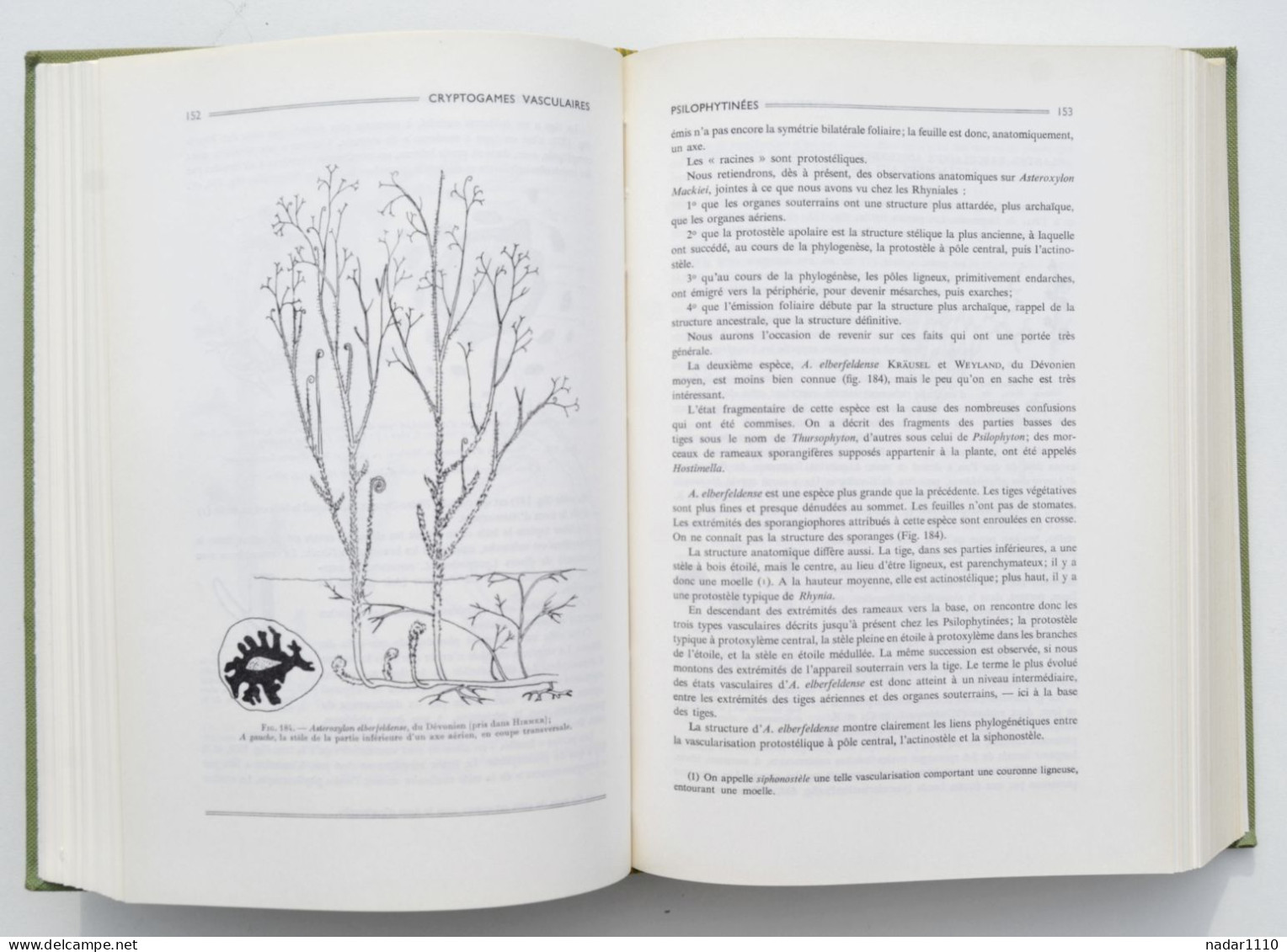 Nature : Les Plantes fossiles dans leurs rapports avec les végétaux vivants - Louis Emberger, Masson 1968