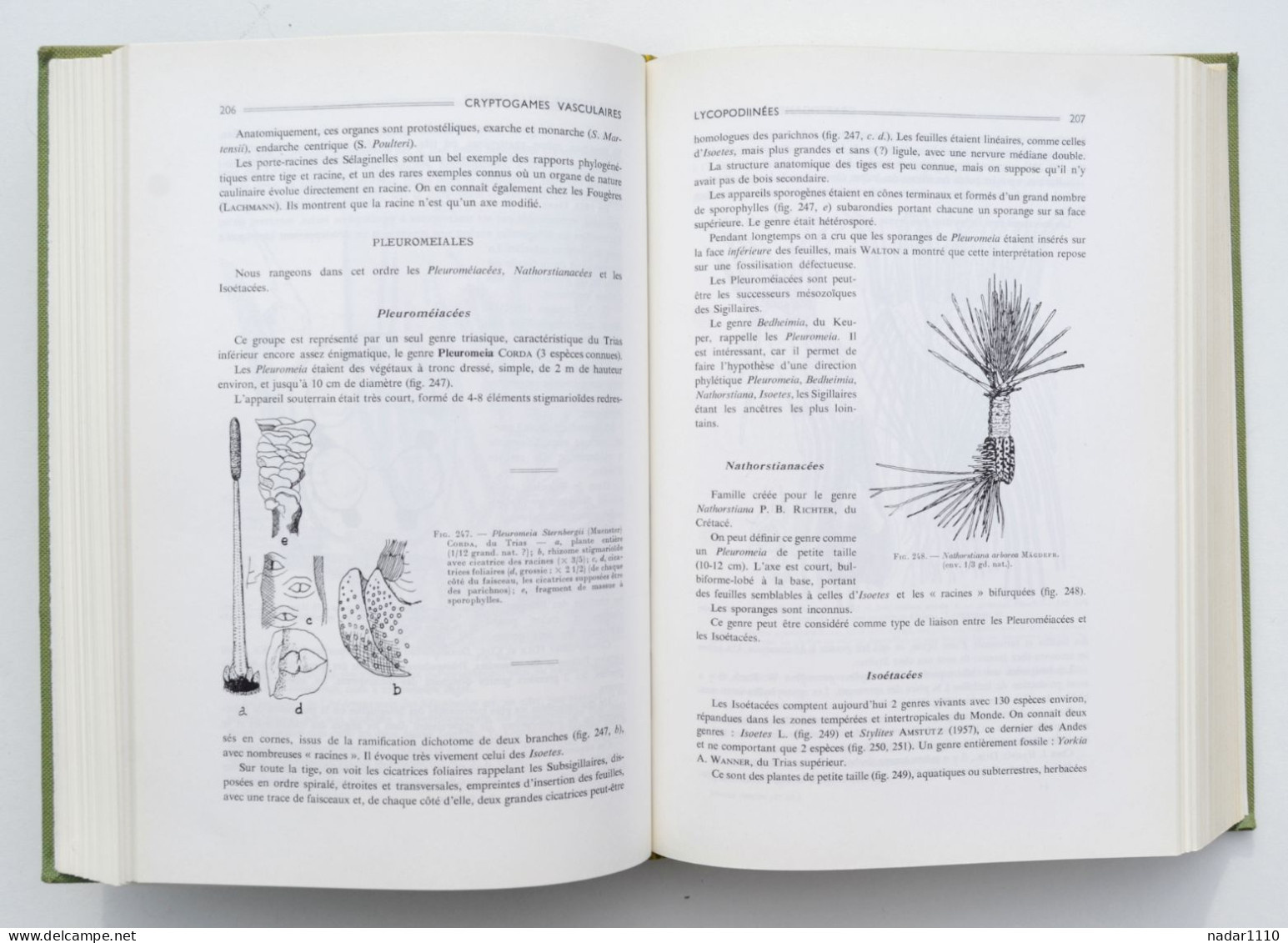 Nature : Les Plantes fossiles dans leurs rapports avec les végétaux vivants - Louis Emberger, Masson 1968