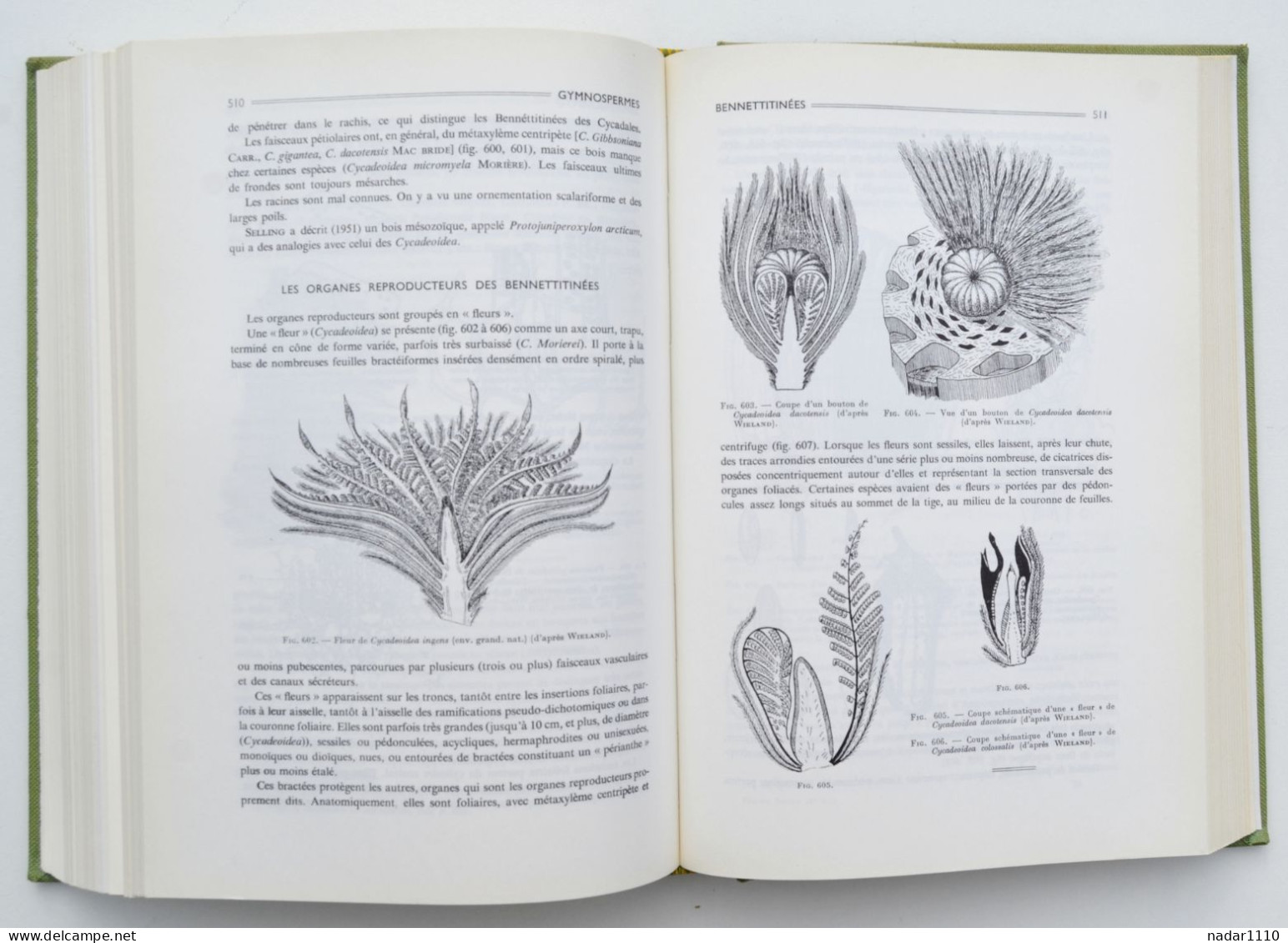 Nature : Les Plantes fossiles dans leurs rapports avec les végétaux vivants - Louis Emberger, Masson 1968