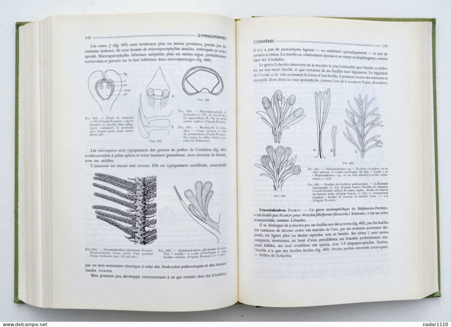 Nature : Les Plantes fossiles dans leurs rapports avec les végétaux vivants - Louis Emberger, Masson 1968