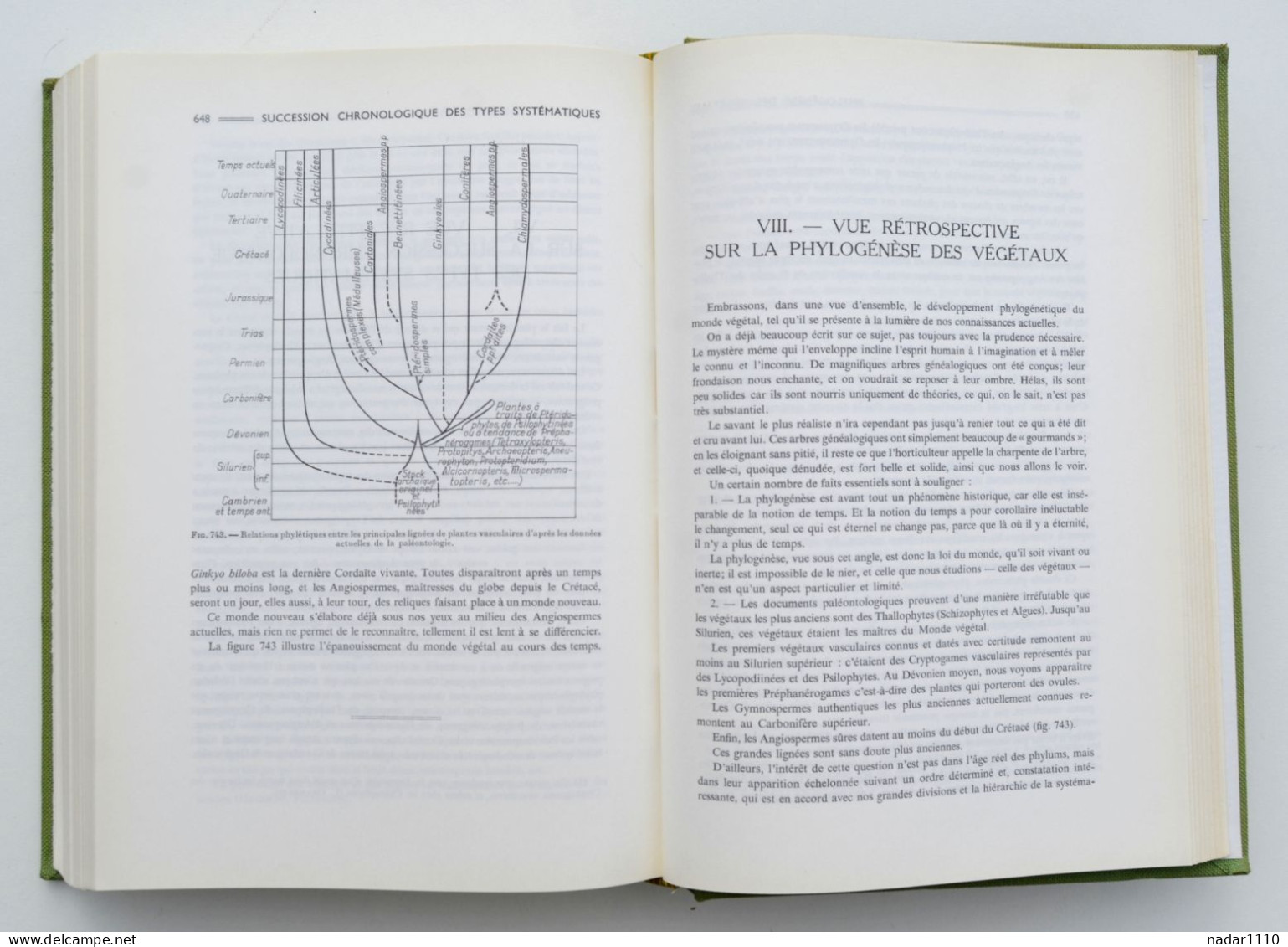 Nature : Les Plantes fossiles dans leurs rapports avec les végétaux vivants - Louis Emberger, Masson 1968