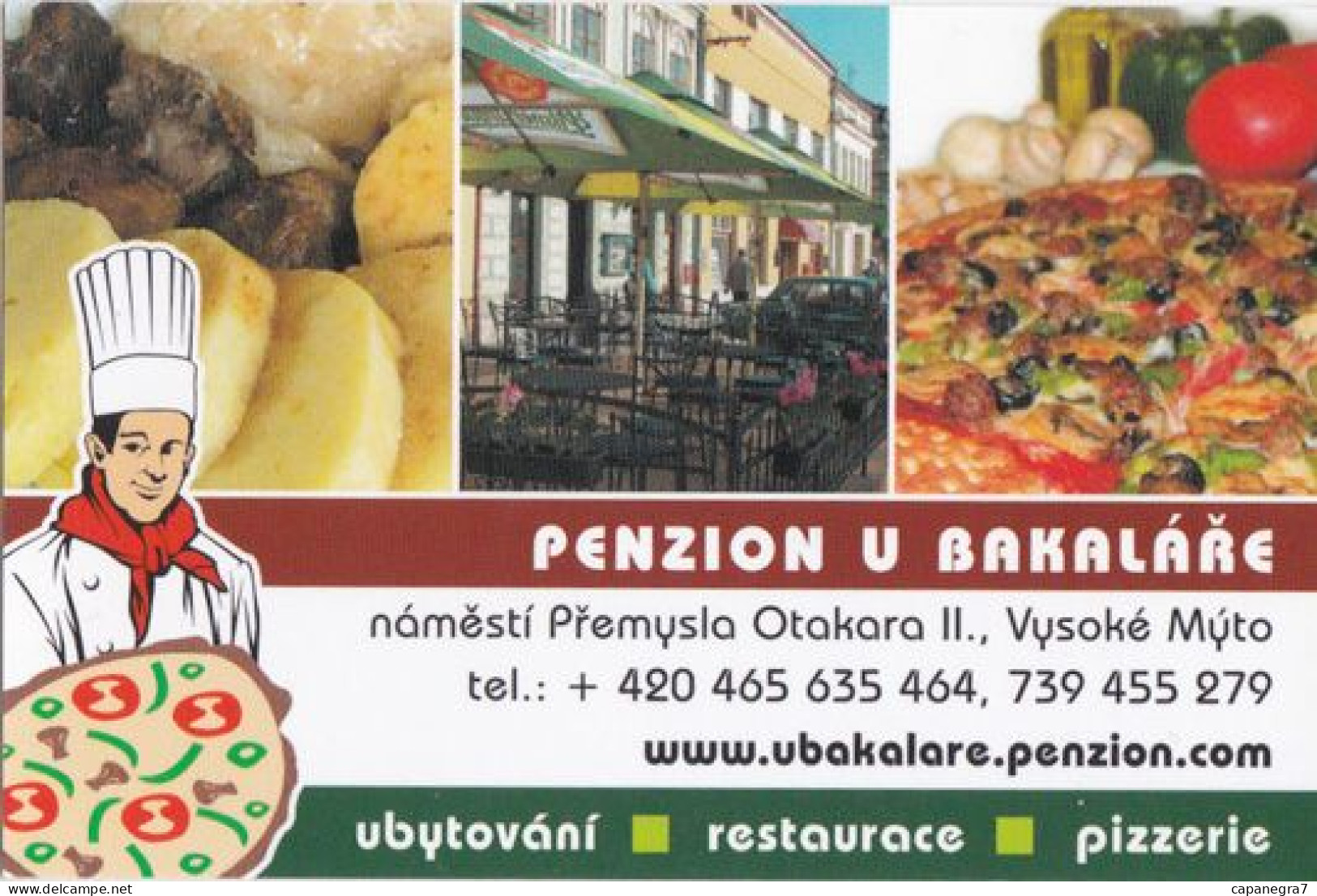 Agaricus, Pizza, Mushrooms, Pension U Bakaláře, Czech Rep. 2011 - Petit Format : 2001-...