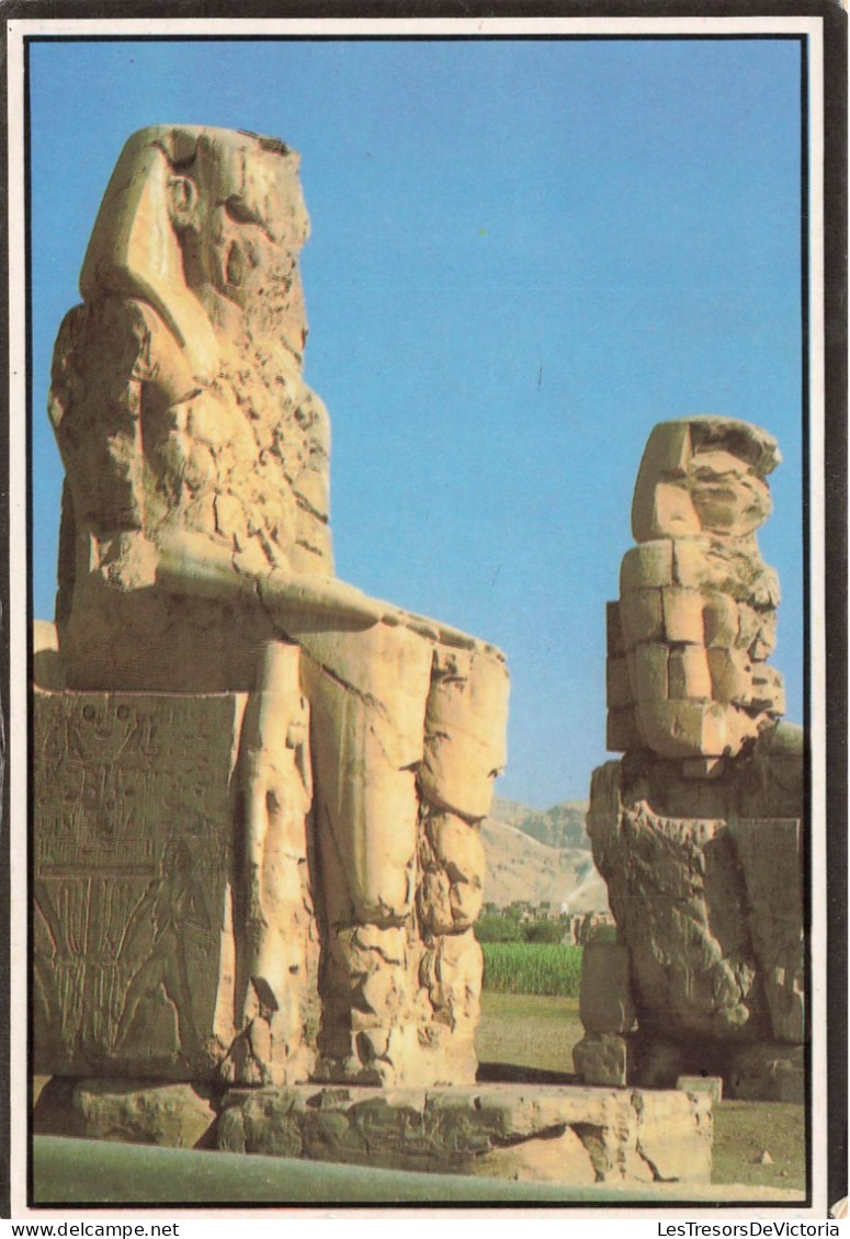 EGYPTE - Luxor - The Statues Of Memnon - Carte Postale - Luxor