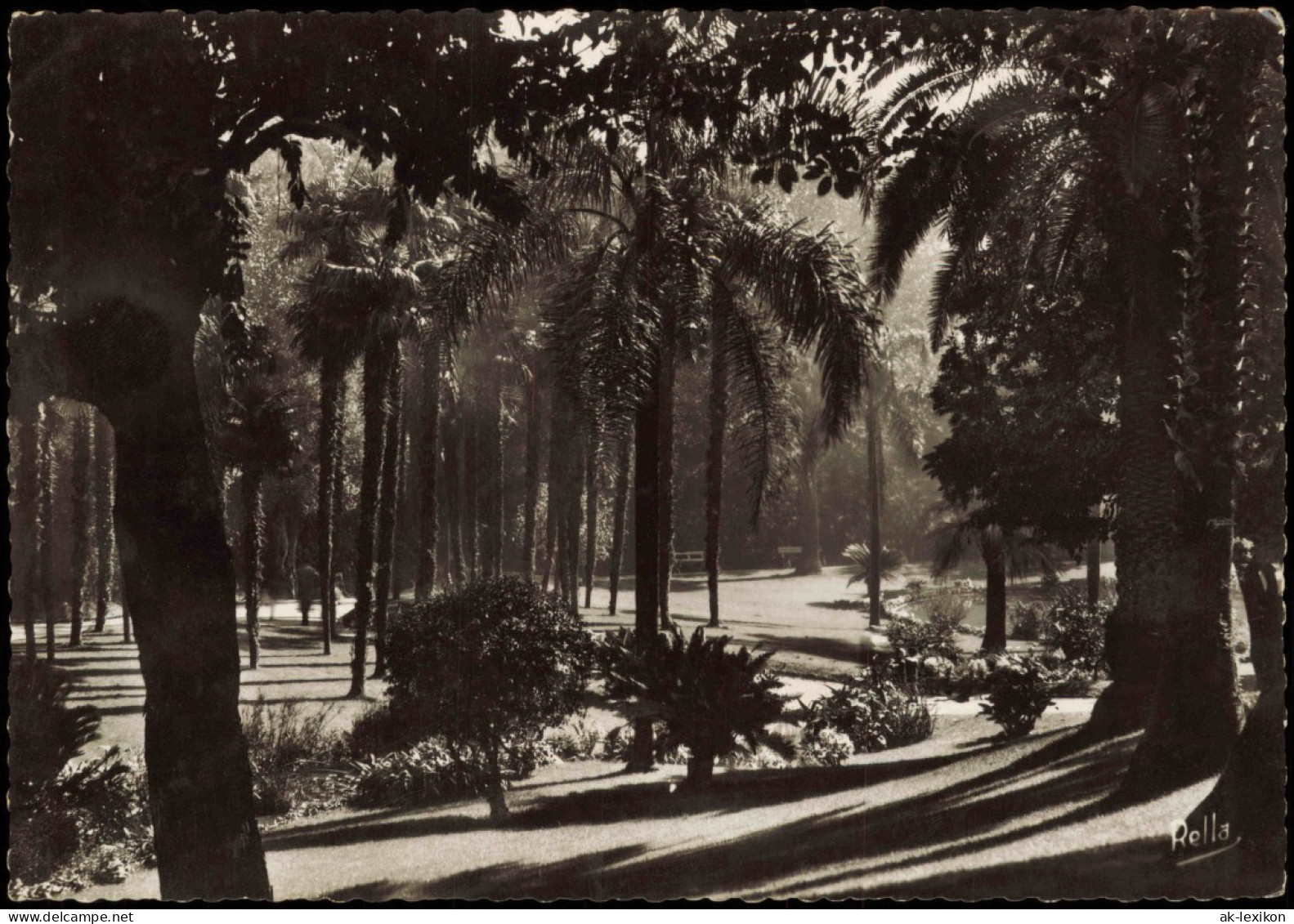 Postcard Monte-Carlo Contre-jour Sur Les Jardins 1947 - Autres & Non Classés