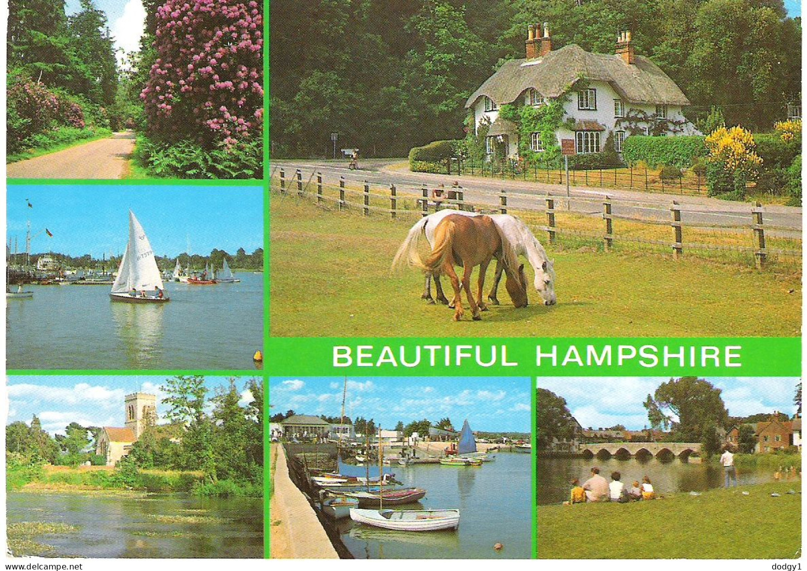 SCENES FROM HAMPSHIRE. USED POSTCARD M7 - Other & Unclassified