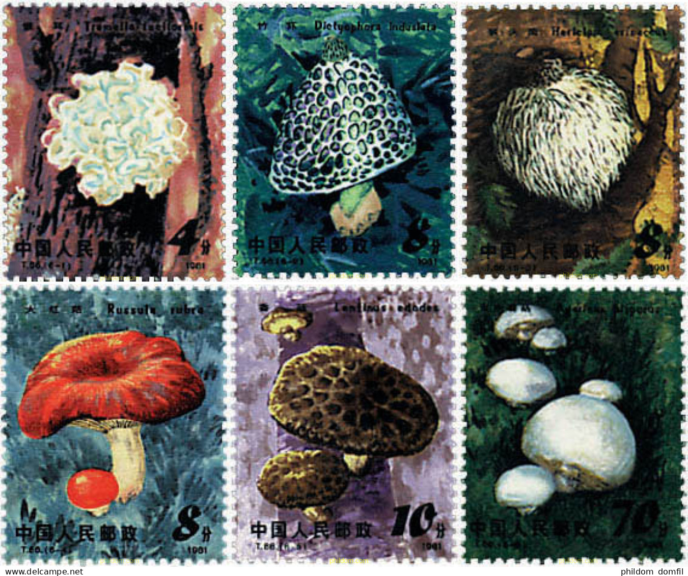 36206 MNH CHINA. República Popular 1981 SETAS - Unused Stamps