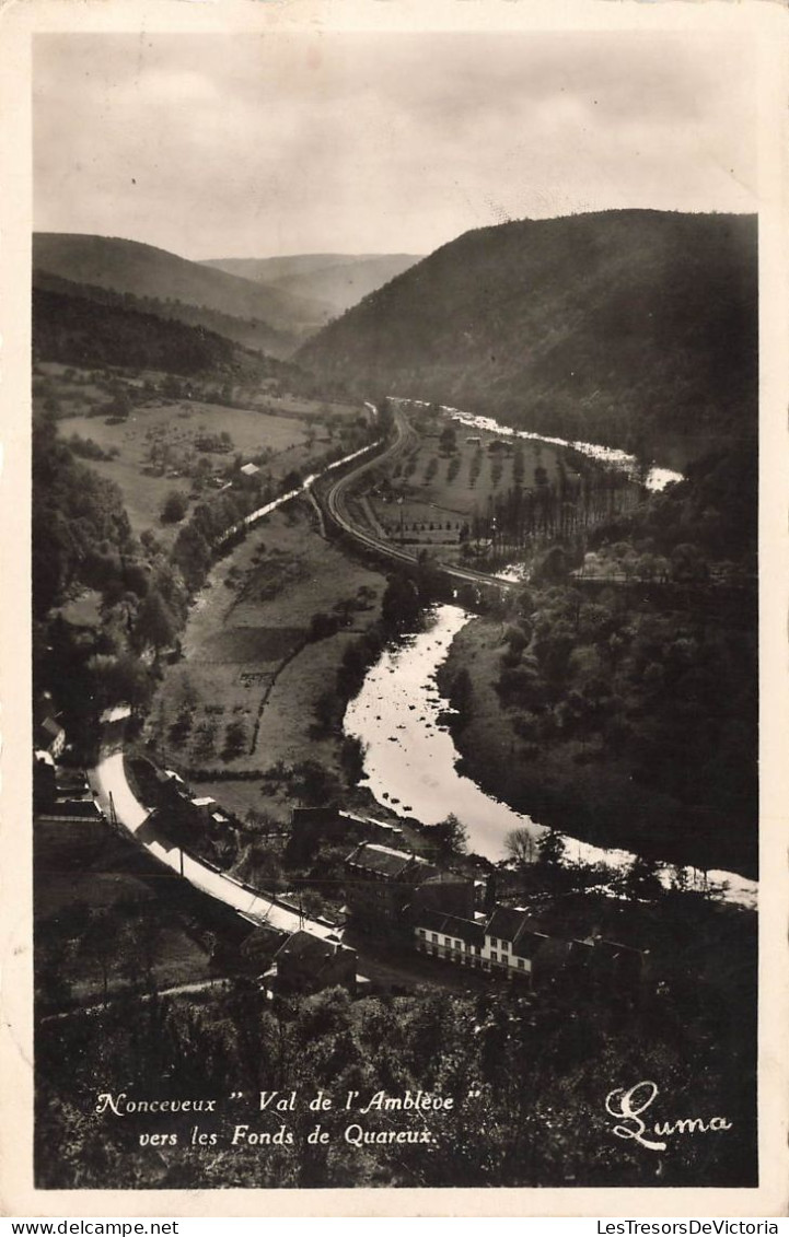 BELGIQUE - Aywaille - Nonceveux - Val De L'Amblève Vers Les Fonds De Quareux - Carte Postale Ancienne - Aywaille