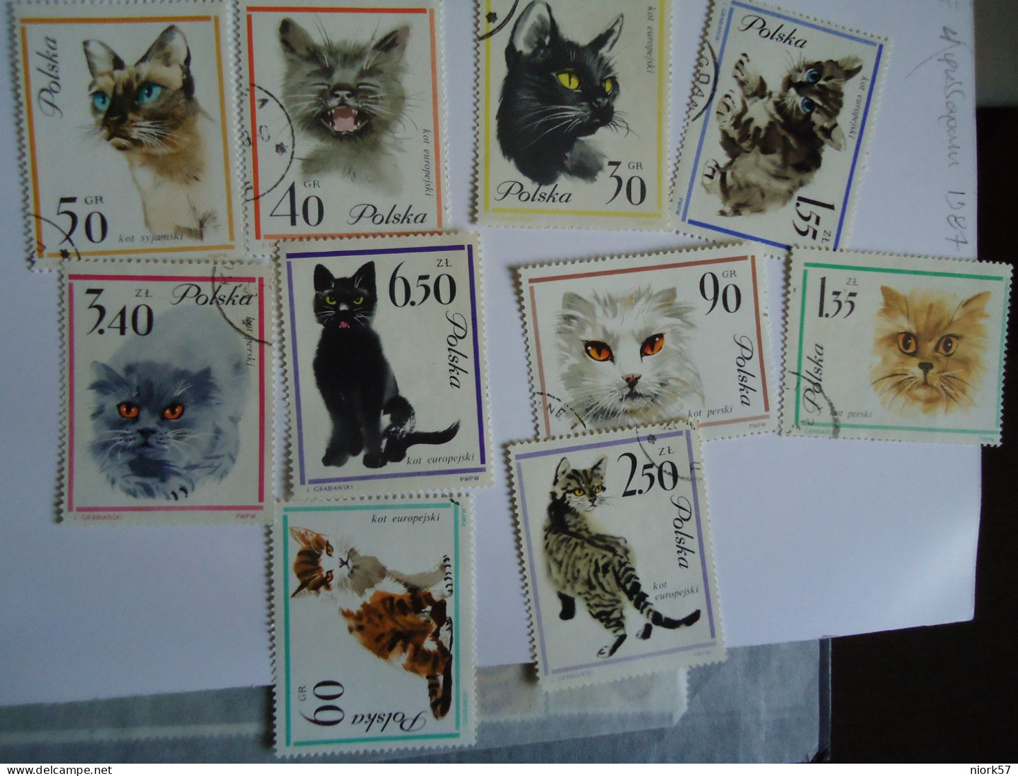 POLAND POLSKA  USED  STAMPS SET 8 CAT CATS - Big Cats (cats Of Prey)