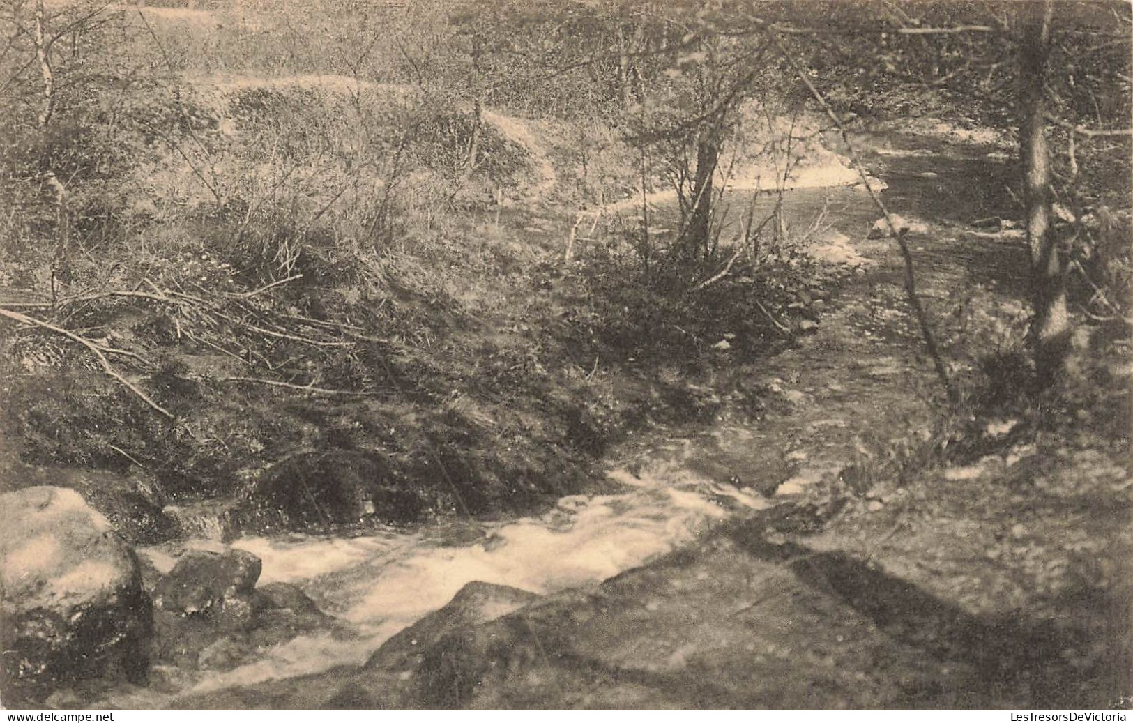 BELGIQUE - Bethane - Sous Bois - Carte Postale Ancienne - Limburg