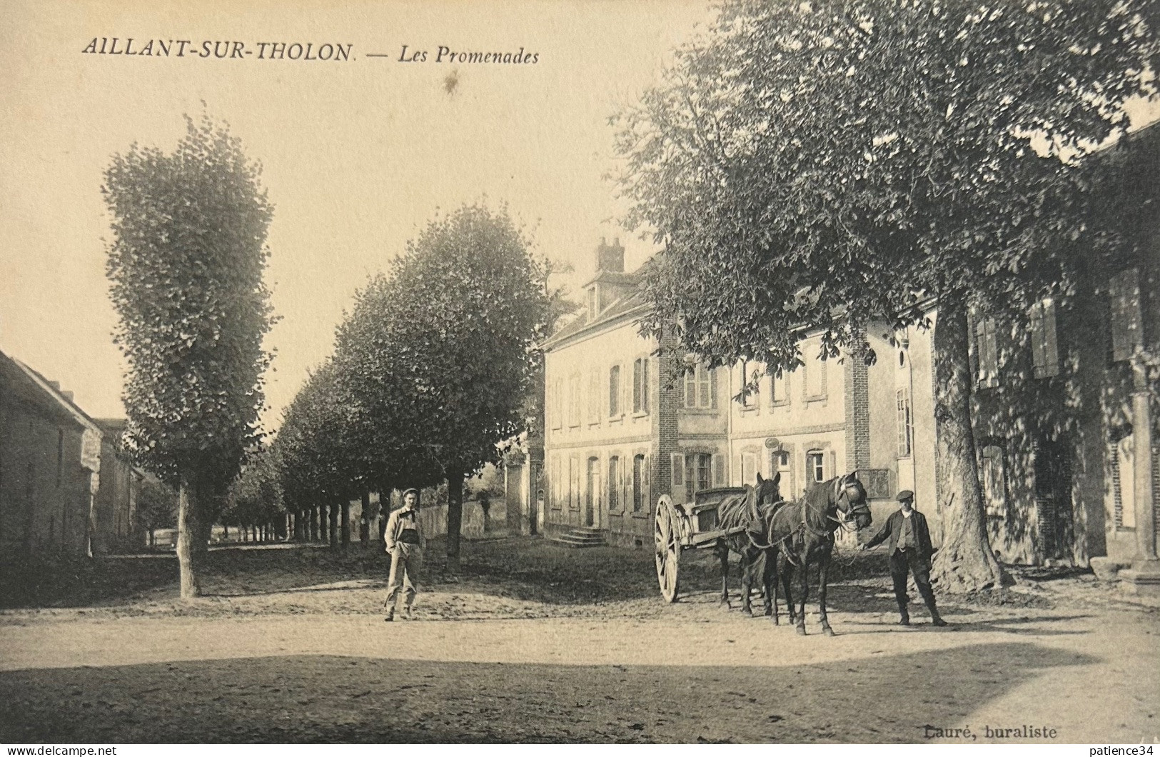 89 - AILLANT-SUR-THOLON - Les Promenades - Aillant Sur Tholon