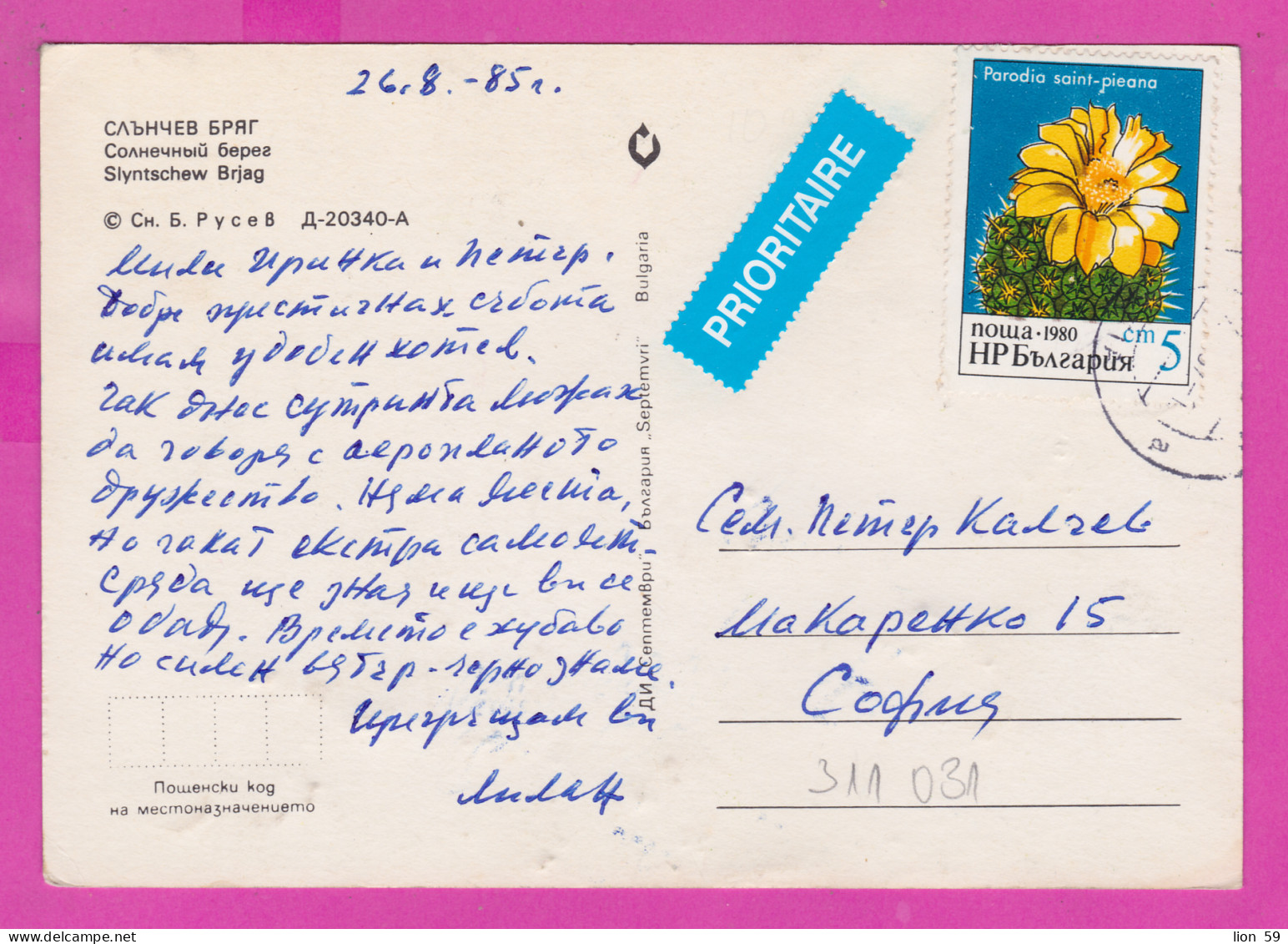 311031 / Bulgaria - Sunny Beach - Panorama Beach Hotels  PC 1985  USED 5 St. Cactuses Parodia Saint-pieana - Cactusses