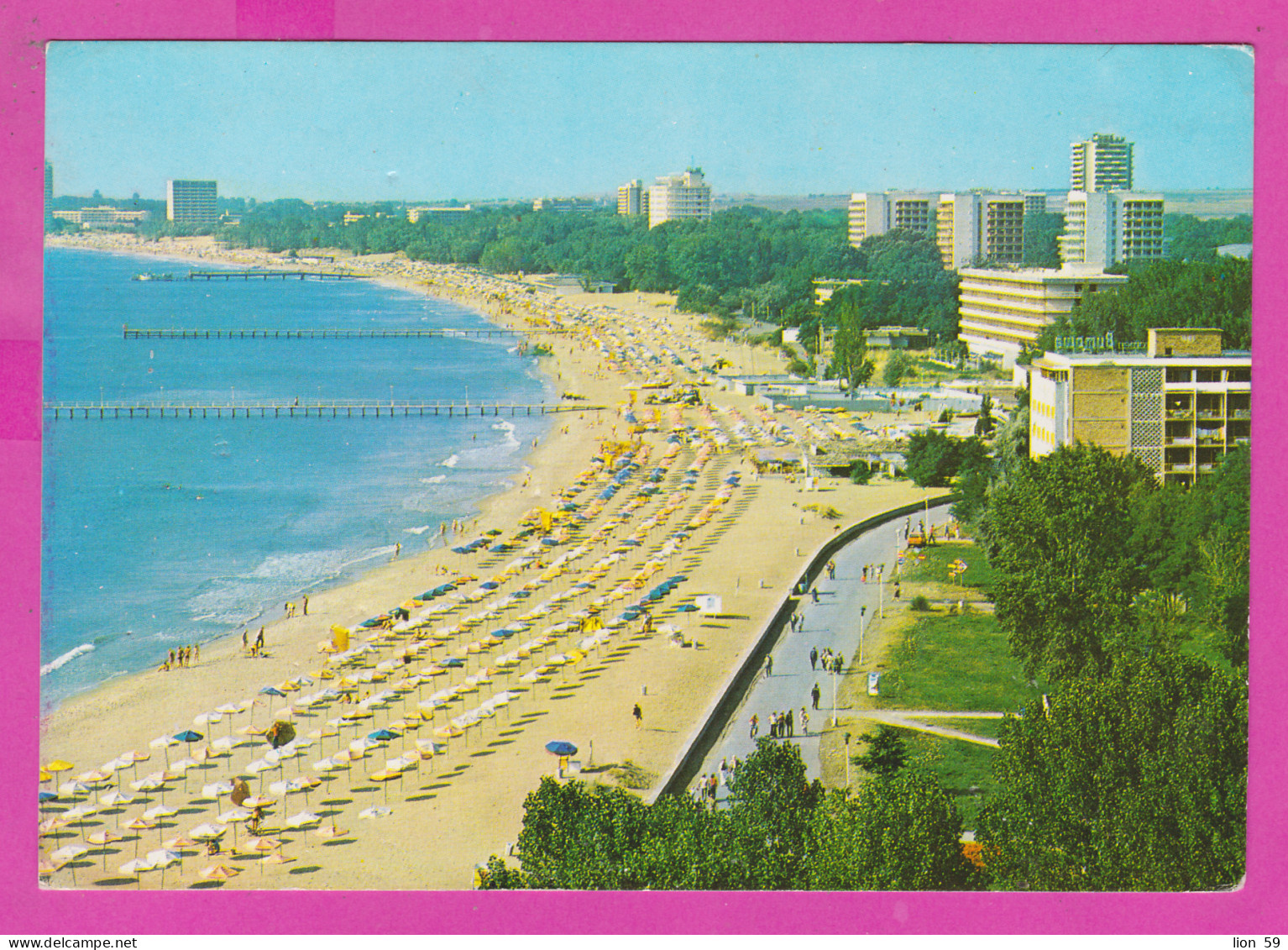 311031 / Bulgaria - Sunny Beach - Panorama Beach Hotels  PC 1985  USED 5 St. Cactuses Parodia Saint-pieana - Cactussen