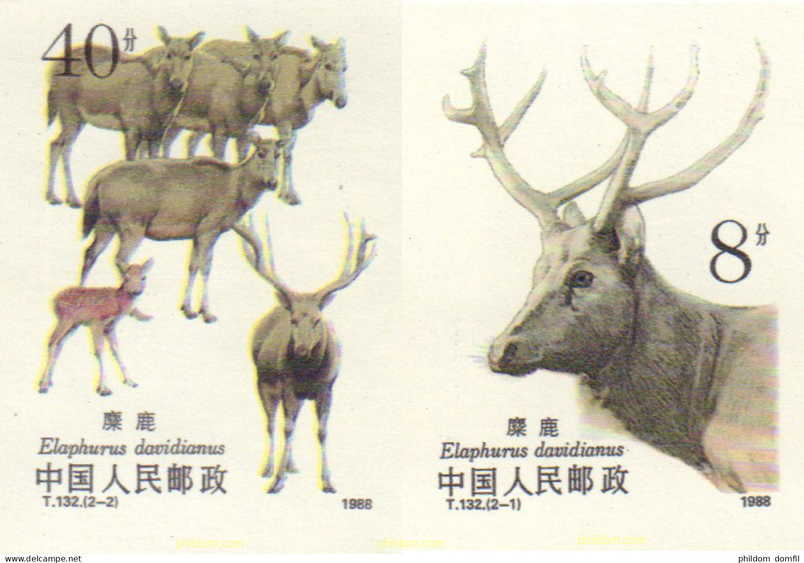 20166 MNH CHINA. República Popular 1988 FAUNA - Neufs