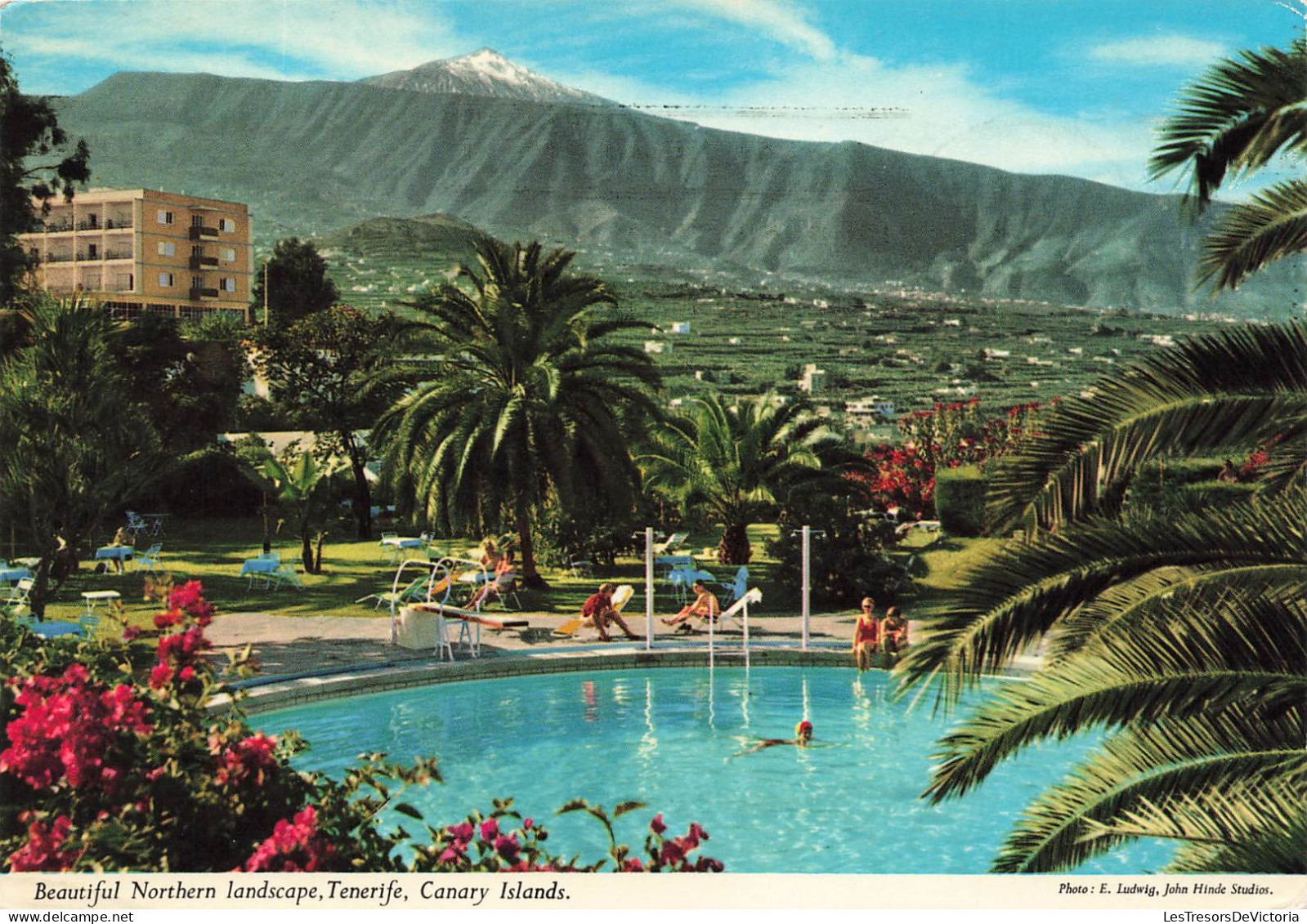 ESPAGNE - Canary Islands - Tenerife - Beautiful Northern Landscape - Carte Postale - Tenerife