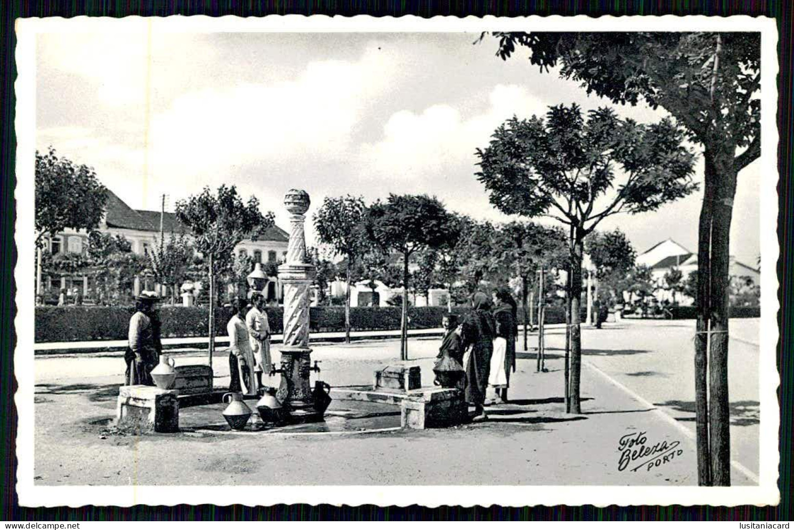 CANTANHEDE-CHAFARIZES E FONTES-Marco Fontenario.(Ed. Da Papelaria Lusitana/ Foto Beleza/ 437094) Carte Postale - Coimbra