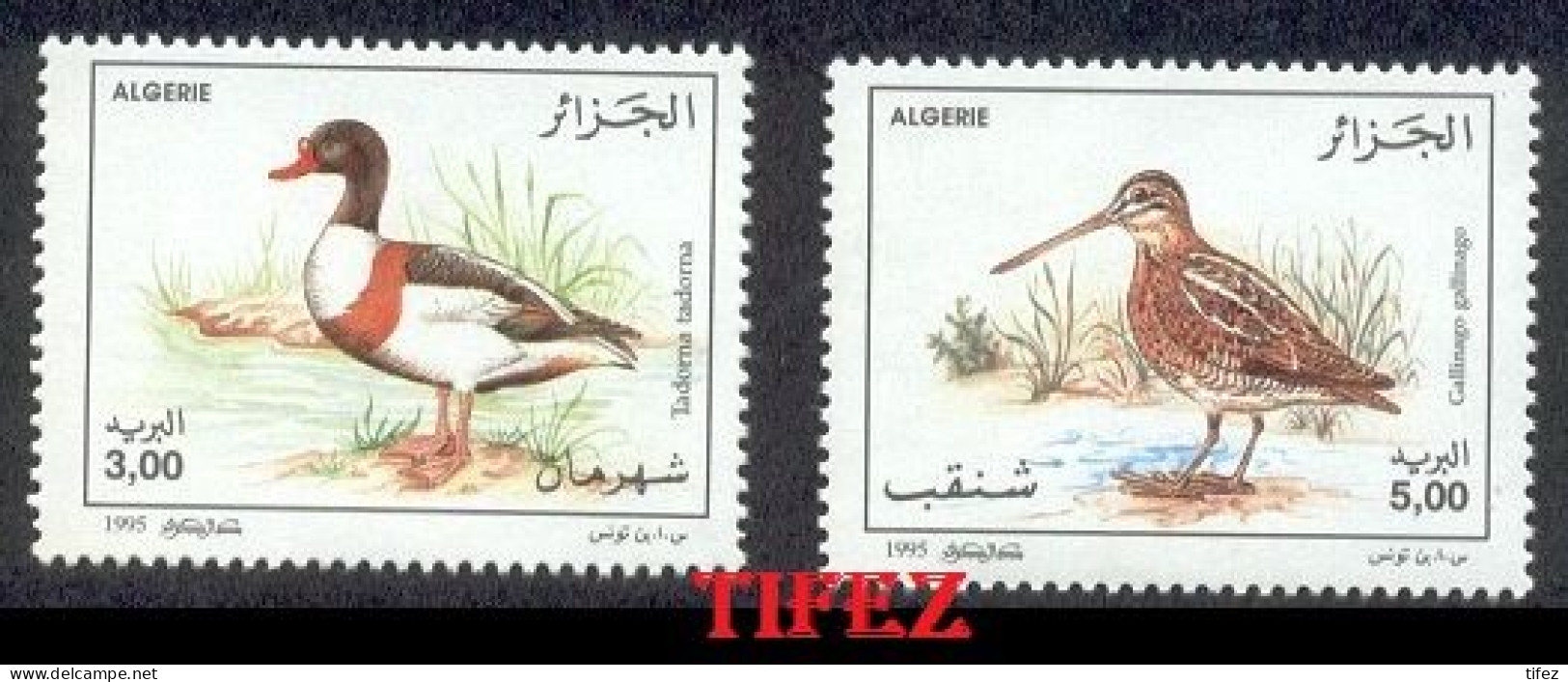 Année 1996-N°1103/1104 Neufs**MNH : Faune : Gibier Aquatique - Algeria (1962-...)