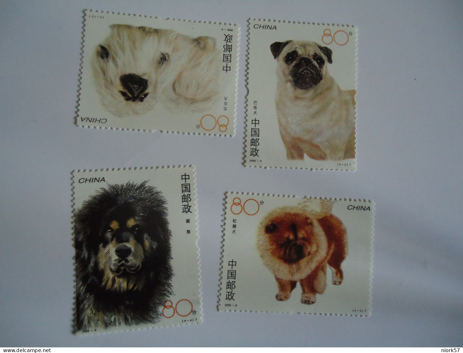 CHINA  4 MNH  STAMPS  ANIMALS  DOG DOGS  2006 - Felini