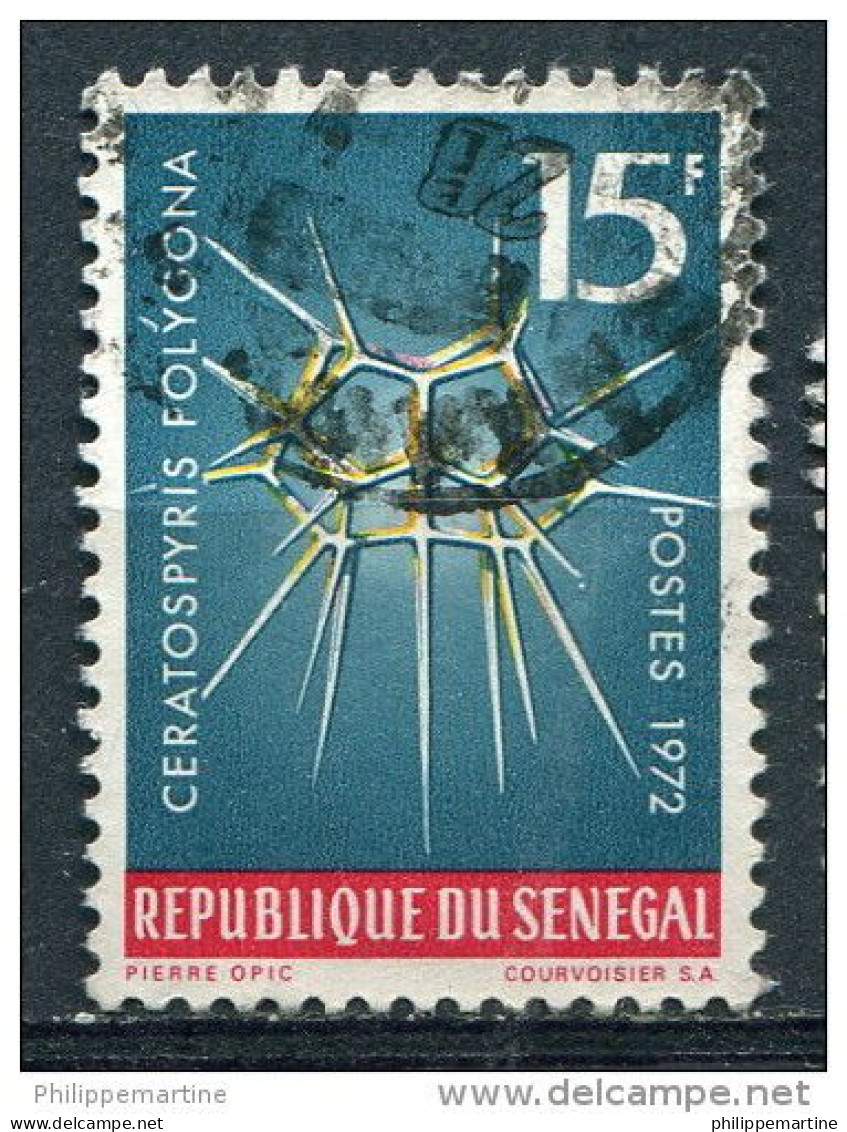 Sénégal - Lot De 100 Timbres Sur Fragment, FDC Ou Enveloppes Correspond Aux Timbres En Vente Dans Ma Boutique - Sénégal (1960-...)