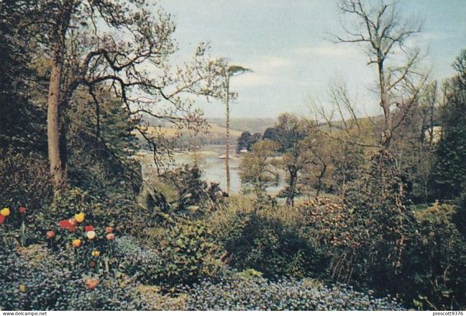 St Just In Roseland - Cornwall - Unused Postcard - Cor5 - Other & Unclassified