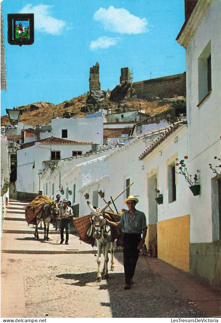 ESPAGNE - Málaga - Velez - Rye Typique - Animé - Carte Postale - Málaga