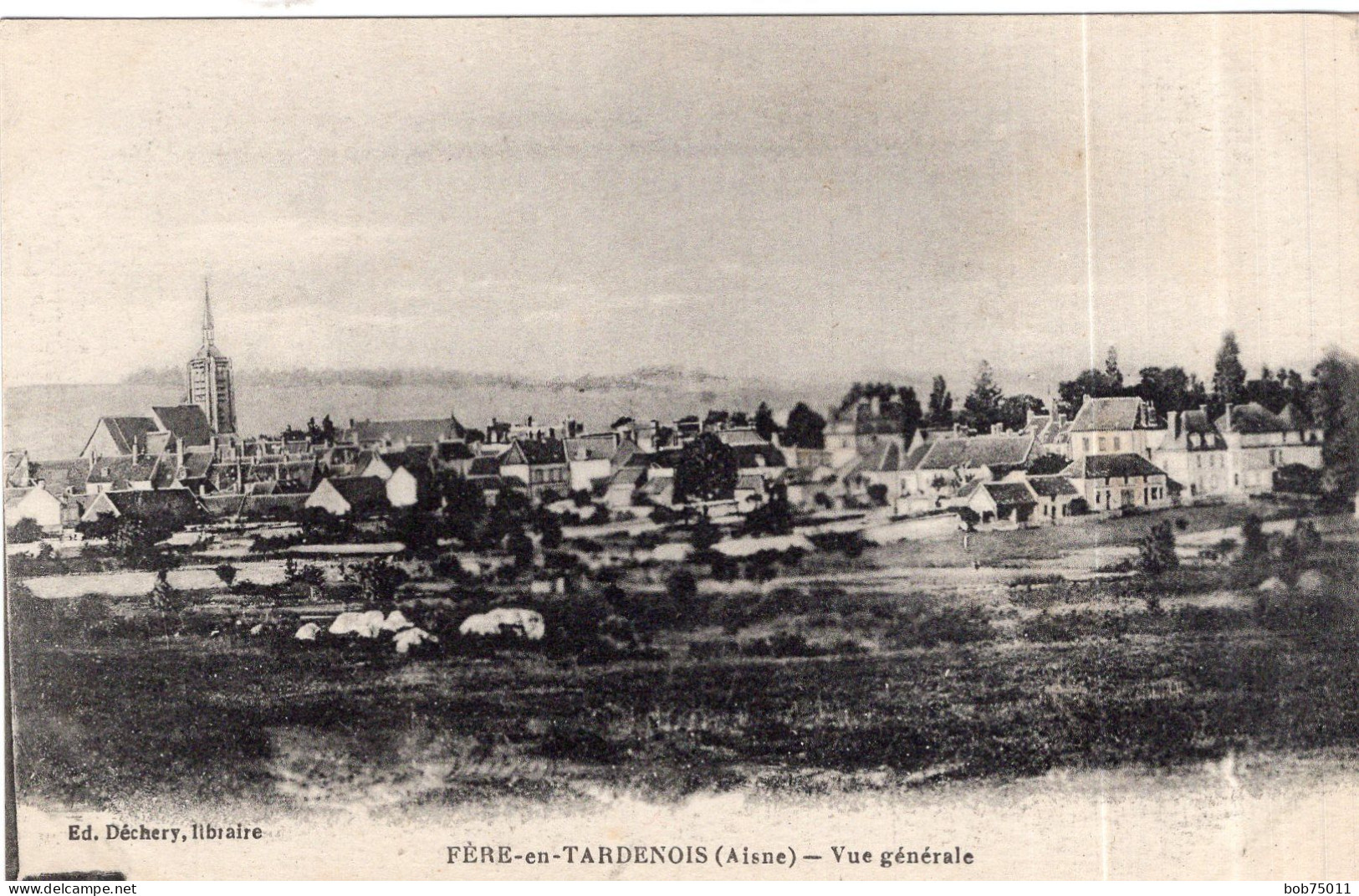 FERE-EN-TARDENOIS , Vue Générale - Fere En Tardenois