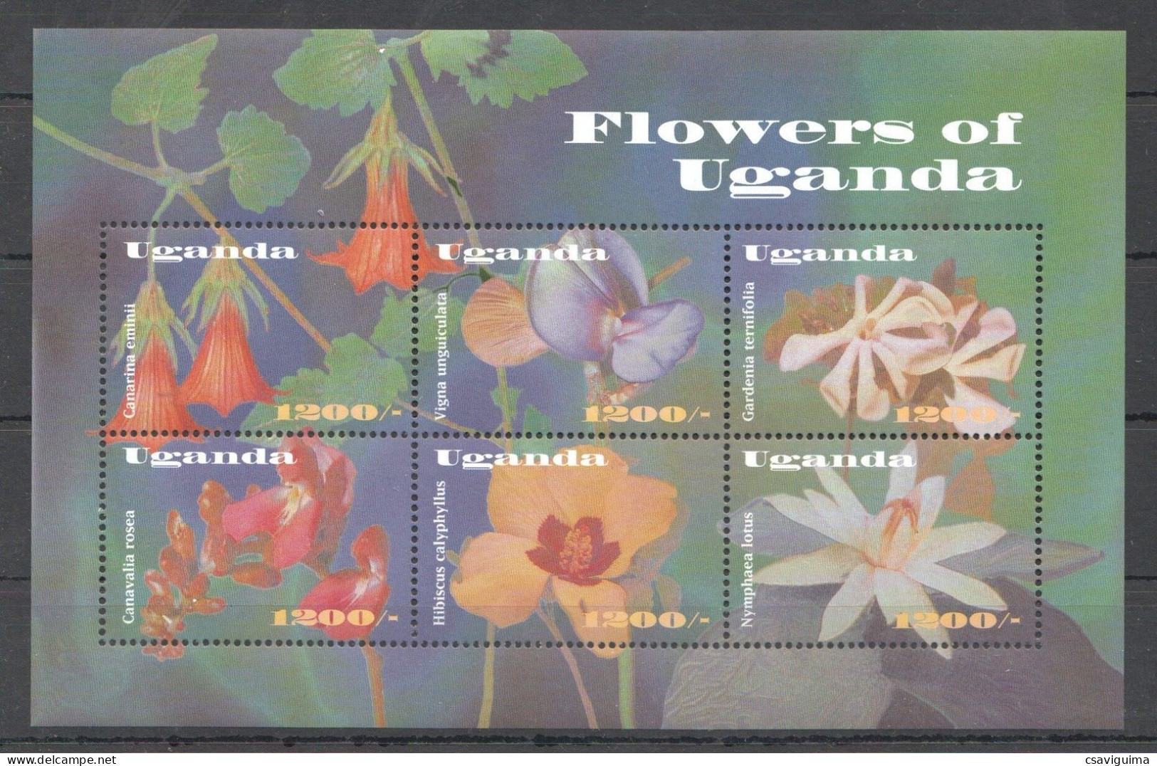 Uganda (Ouganda) - 2002 - Flowers Of Uganda - Yv 2073/78 - Andere & Zonder Classificatie