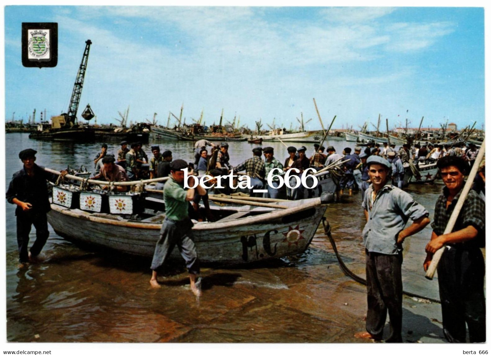 Portugal Matosinhos * Descarregando Peixe * Fishing Boats * Bateaux De Peche - Porto