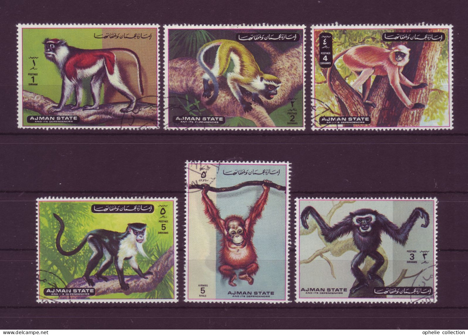 Asie - Ajman - Singes (monkeys) - 6 Timbres Différents - 7015 - Ajman