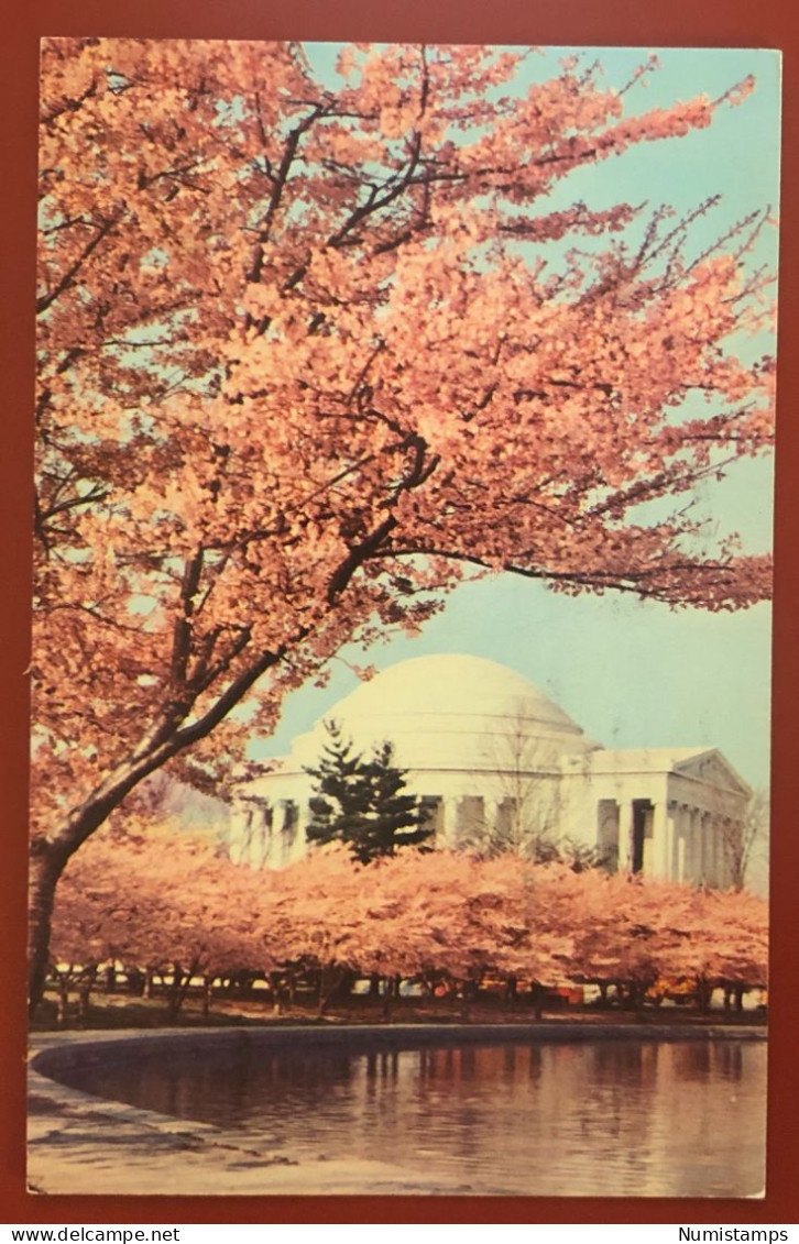 Thomas Jefferson Memorial - Washington, DC, USA - 1966 (c604) - Altri & Non Classificati