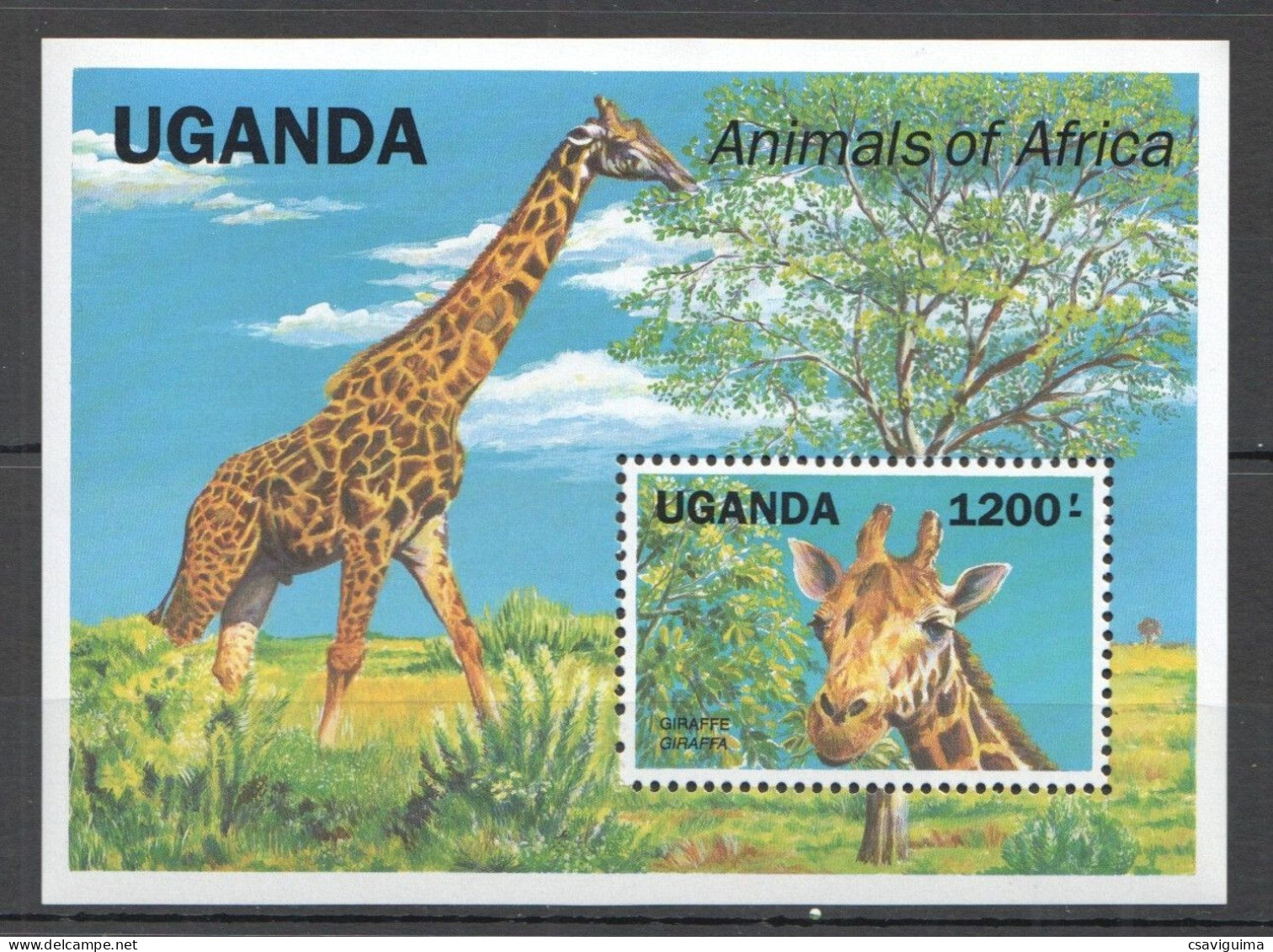 Uganda (Ouganda) - 1991 - Mammals: Giraffe - Yv Bf 148 - Altri & Non Classificati