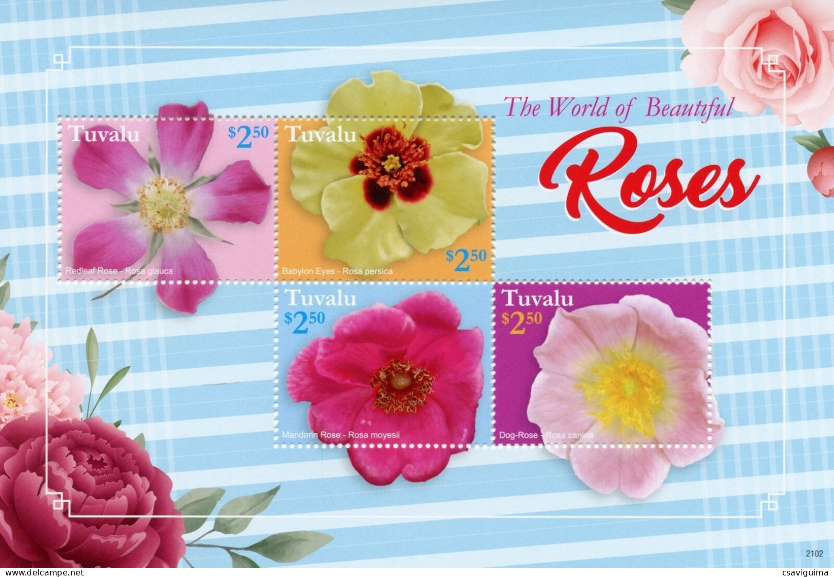 Tuvalu - 2021 - Flowers: Roses - Yv 2264/67 - Rose