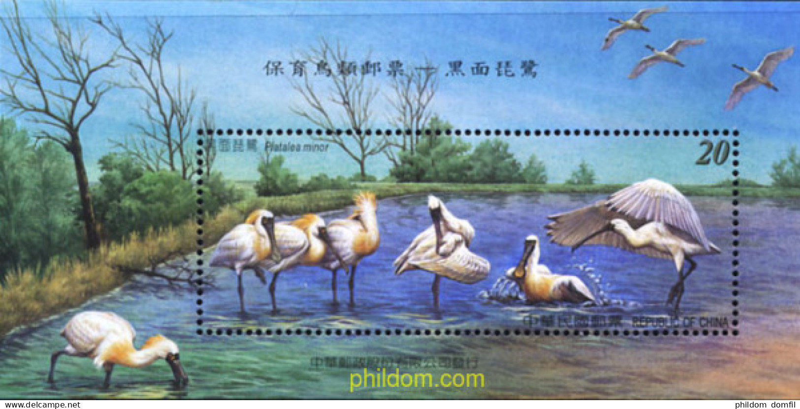 172135 MNH CHINA. FORMOSA-TAIWAN 2004 AVES - Unused Stamps