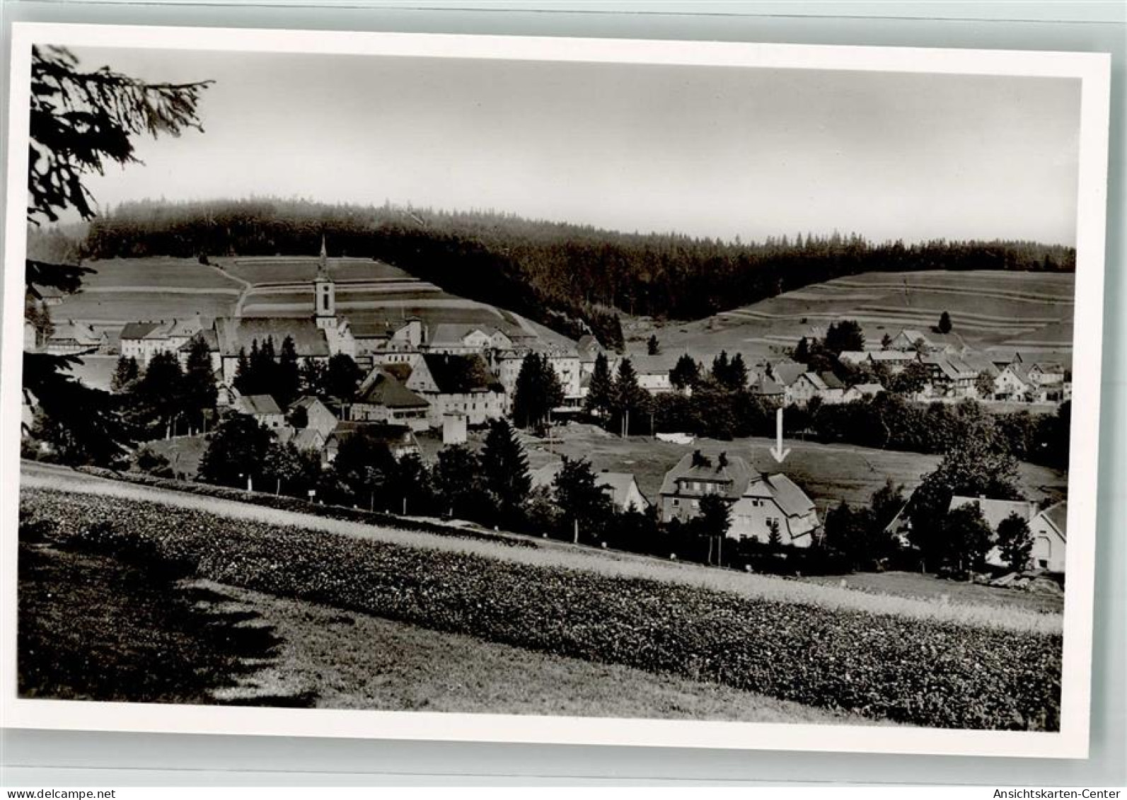 39854003 - Schoenwald Im Schwarzwald - Triberg