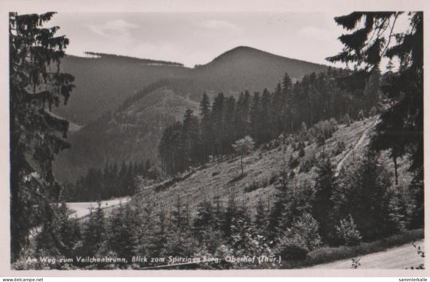 22001 - Oberhof - Weg Zum Veilchenbrunn - 1941 - Oberhof