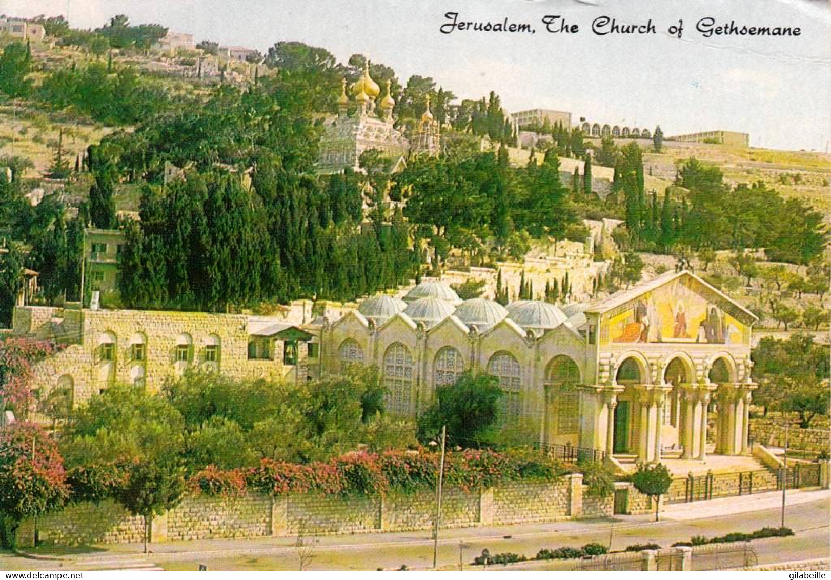 Israel - JERUSALEM - ירושלים   -  The Church Of Gethsemane - Israel