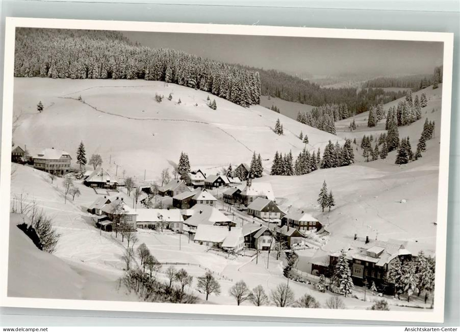 39818903 - Muggenbrunn - Todtnau