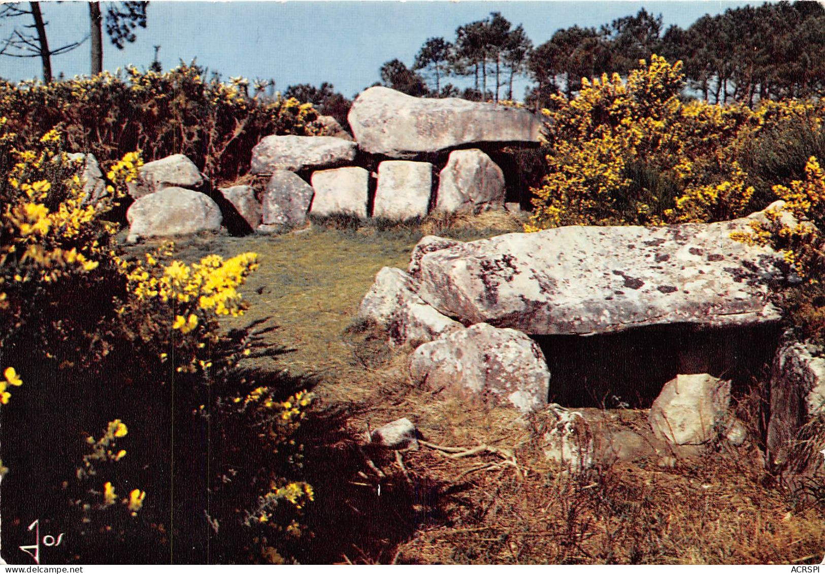 Monuments Megalithiques De Mane Kerioned Pres De CARNAC 17(scan Recto-verso) MA906 - Carnac