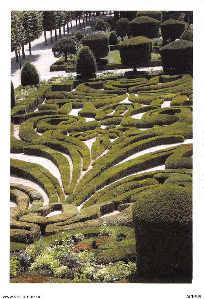 Jardin De L Eveche CASTRES 14(scan Recto-verso) MA902 - Castres