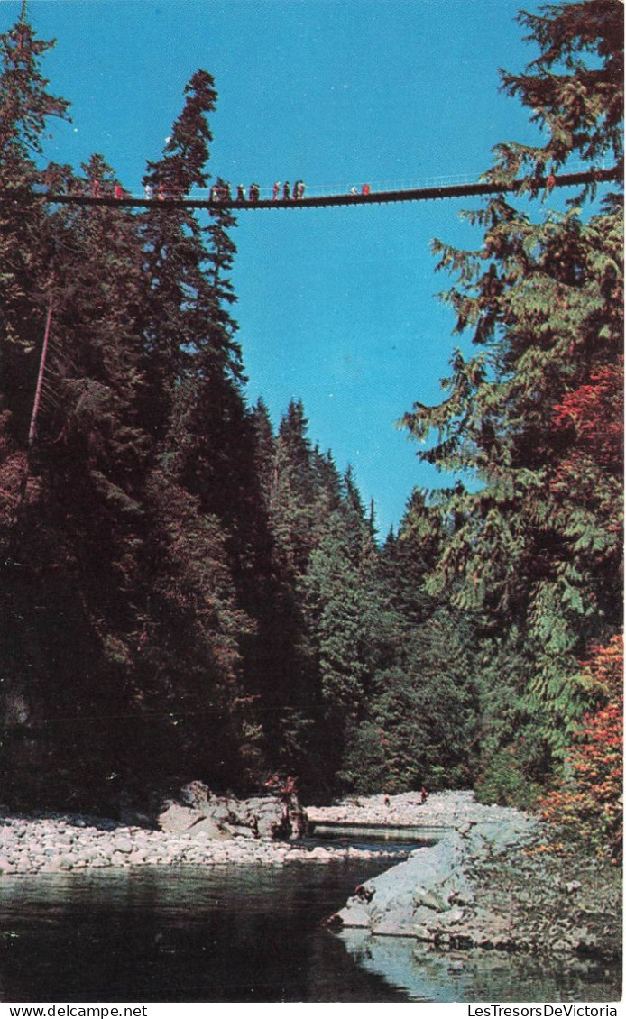 CANADA - Vancouver - Capilano Canyon Suspension Bridge - Carte Postale - Vancouver