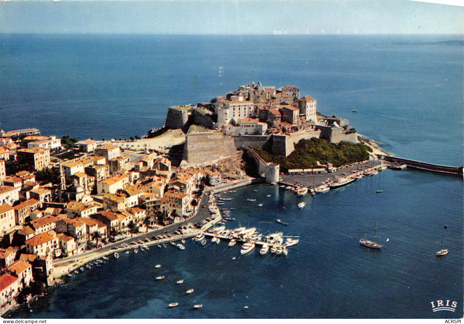 CALVI Vue Partielle De La Ville La Marine Et La Citadelle 8(scan Recto-verso) MA932 - Calvi